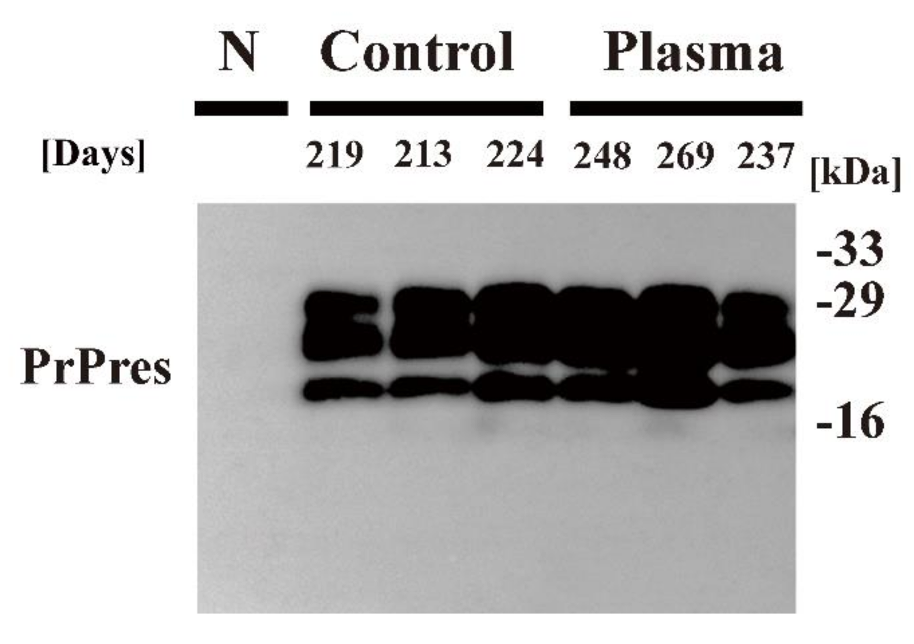 Pathogens 09 00819 g004 Pathogens 09 00819 g004