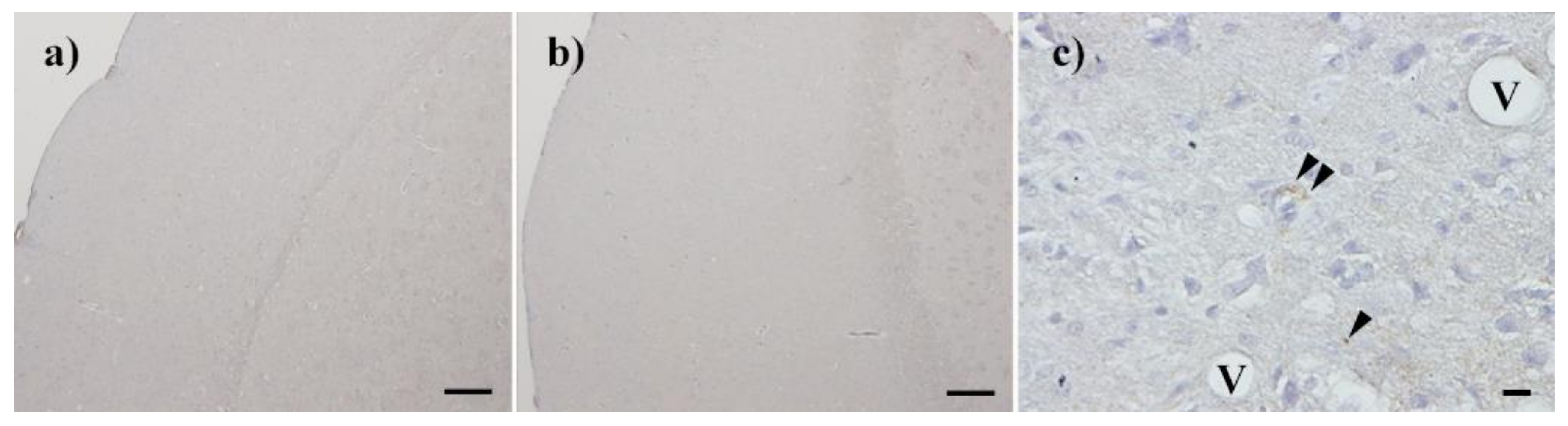 Pathogens 09 00819 g006 Pathogens 09 00819 g006