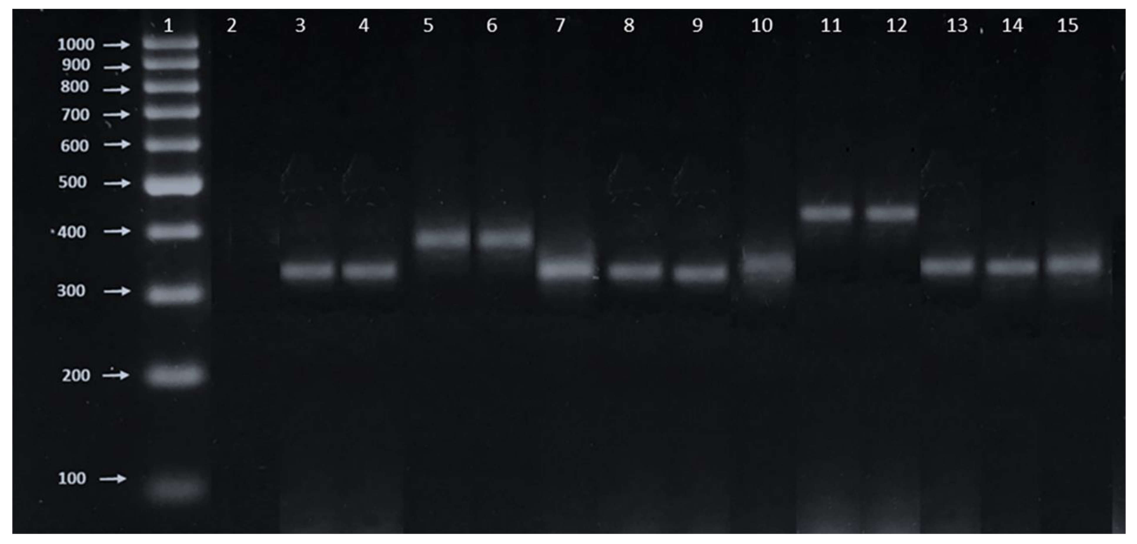 Pathogens 09 00820 g002 Pathogens 09 00820 g002