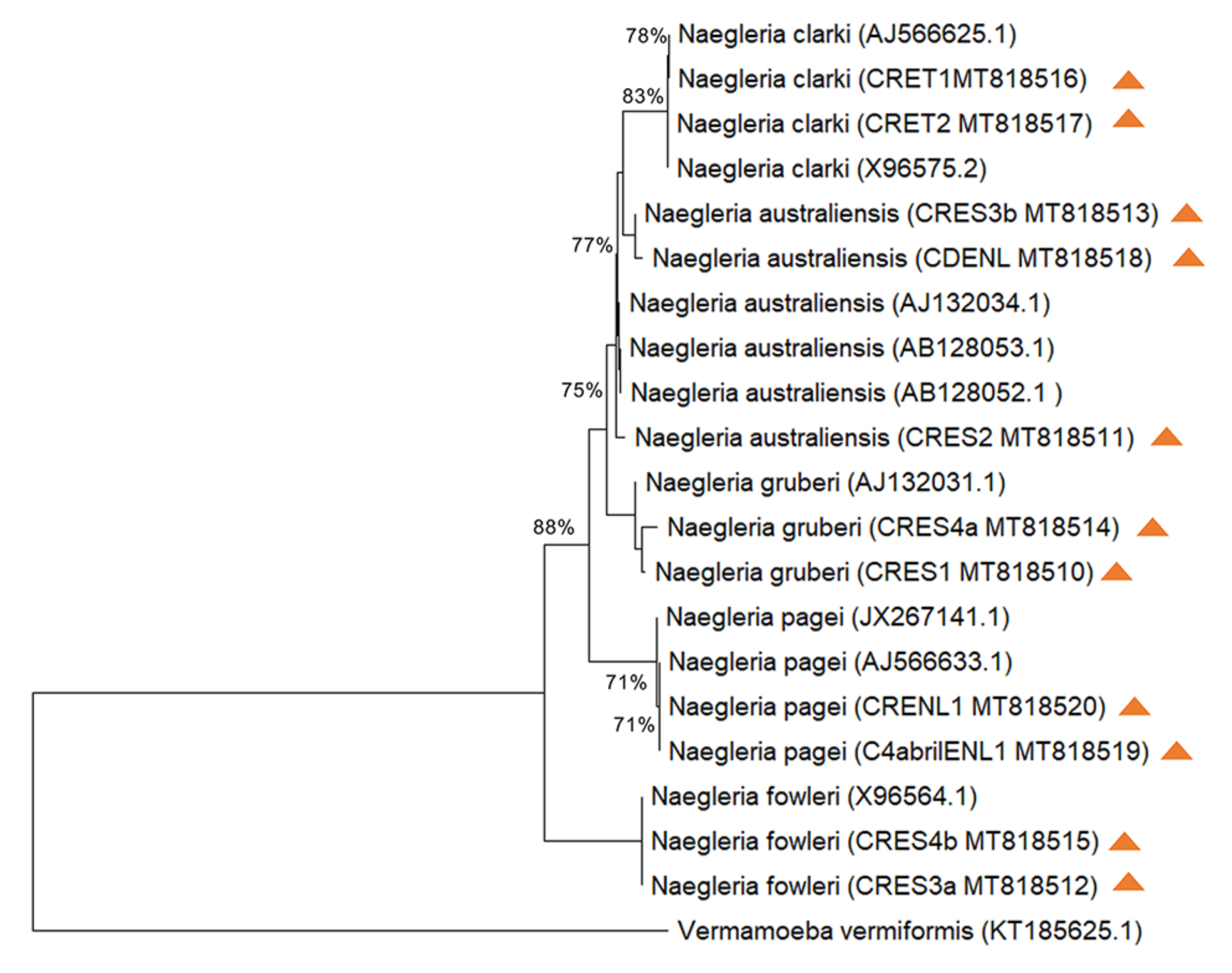 Pathogens 09 00820 g003 Pathogens 09 00820 g003