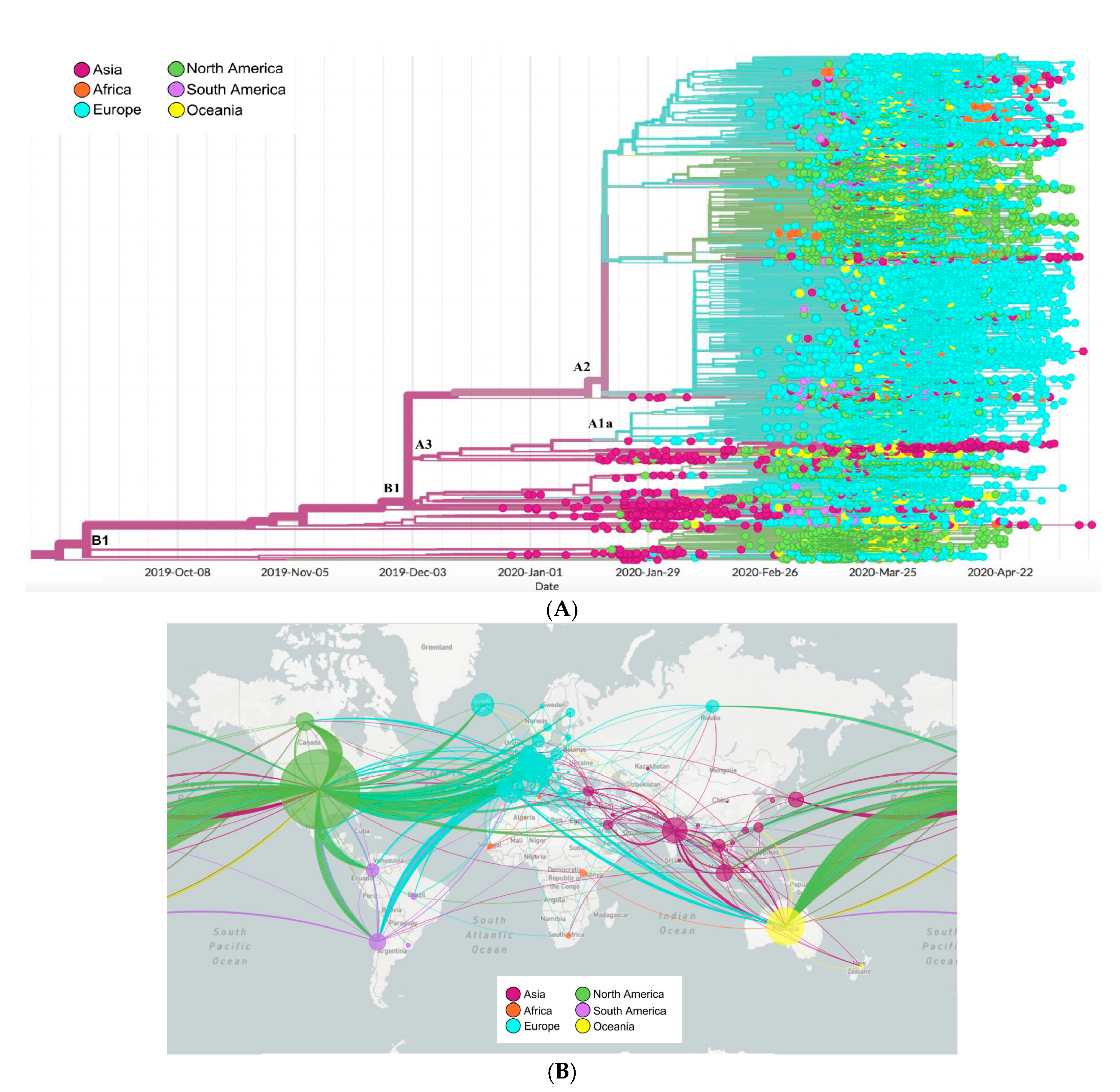 Pathogens 09 00829 g007 Pathogens 09 00829 g007
