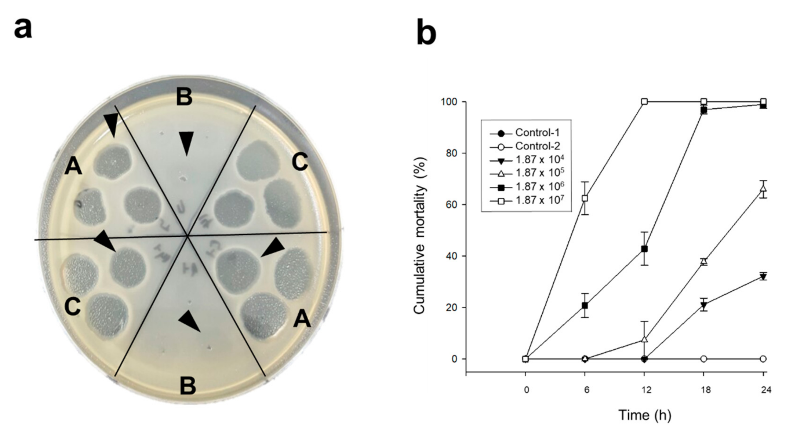 Pathogens 09 00831 g001 550