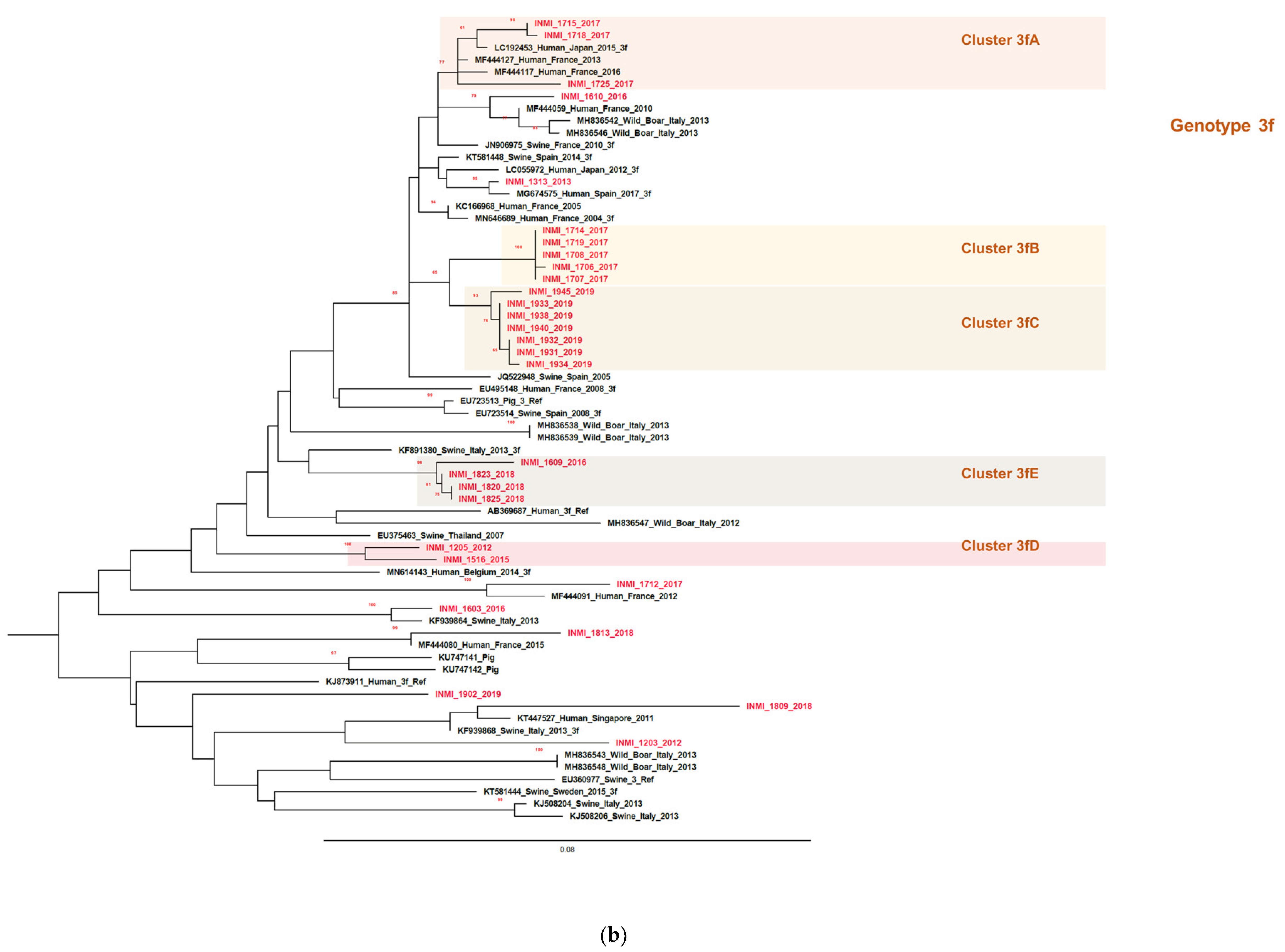 Pathogens 09 00832 g005b