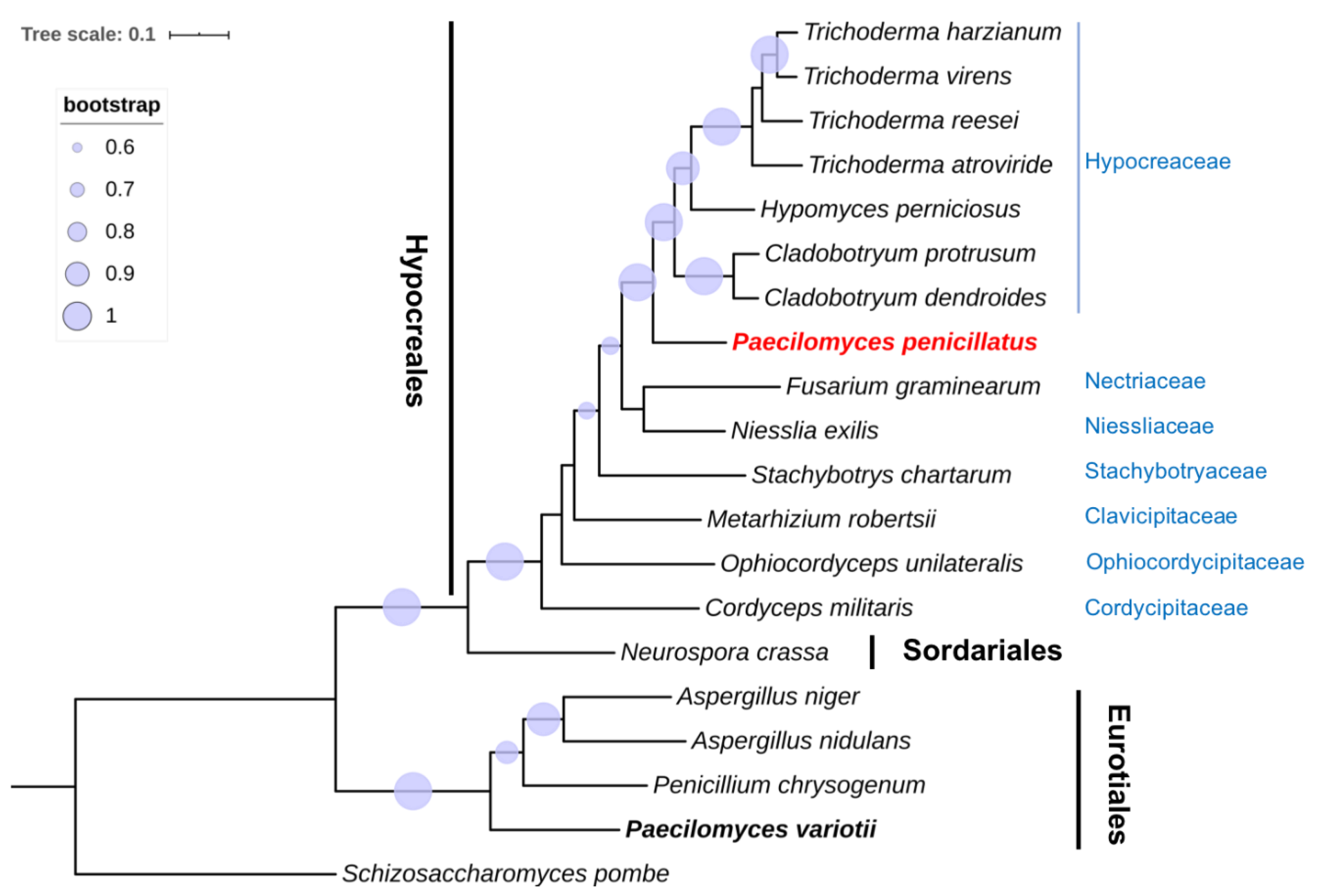 Pathogens 09 00834 g001 Pathogens 09 00834 g001
