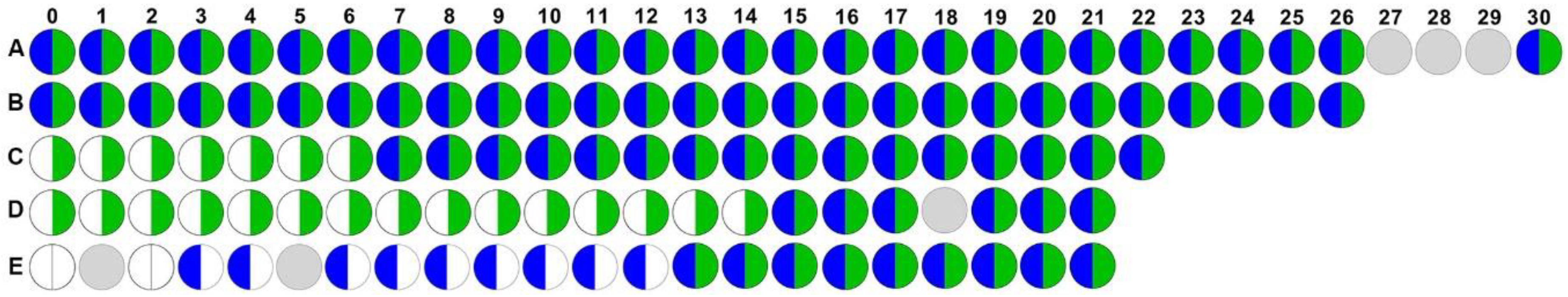 Pathogens 09 00835 g001