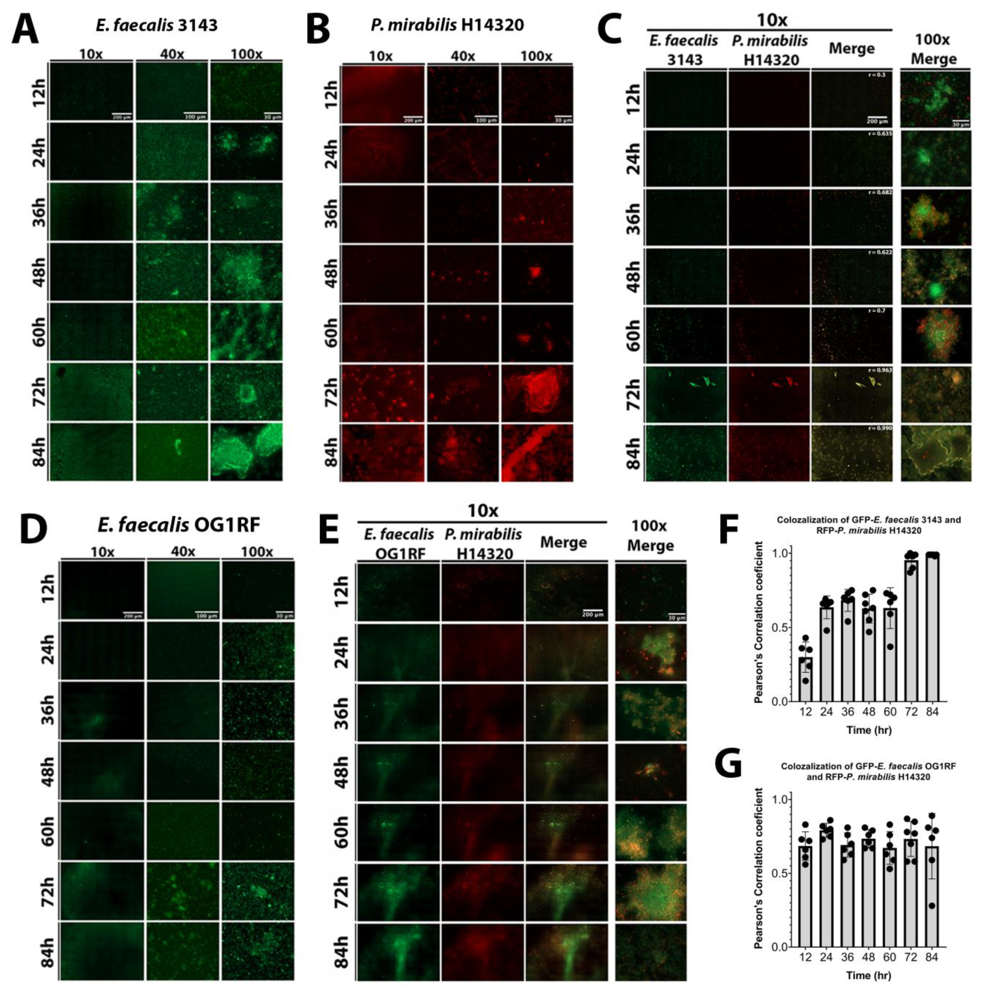 Pathogens 09 00835 g005