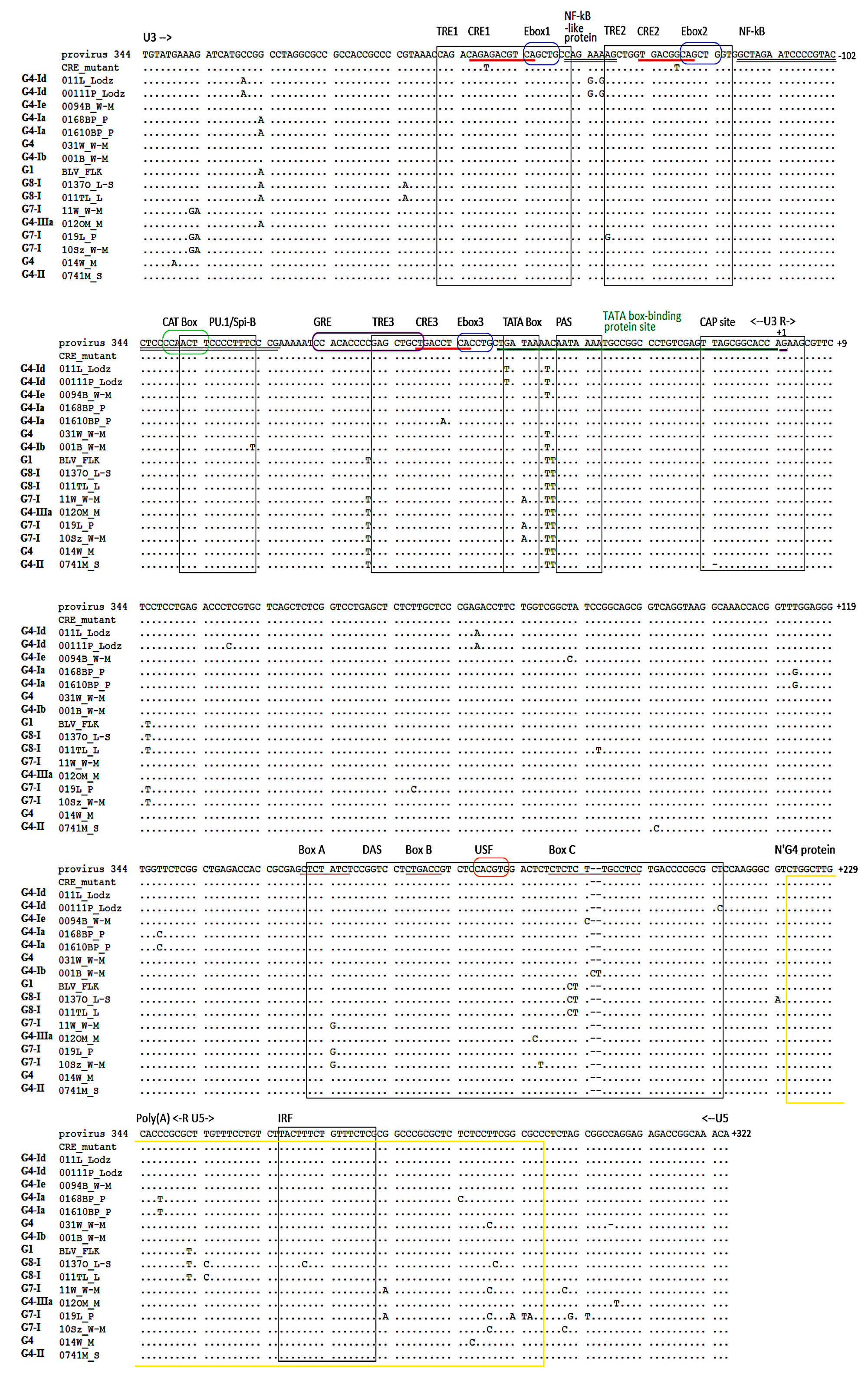 Pathogens 09 00836 g001