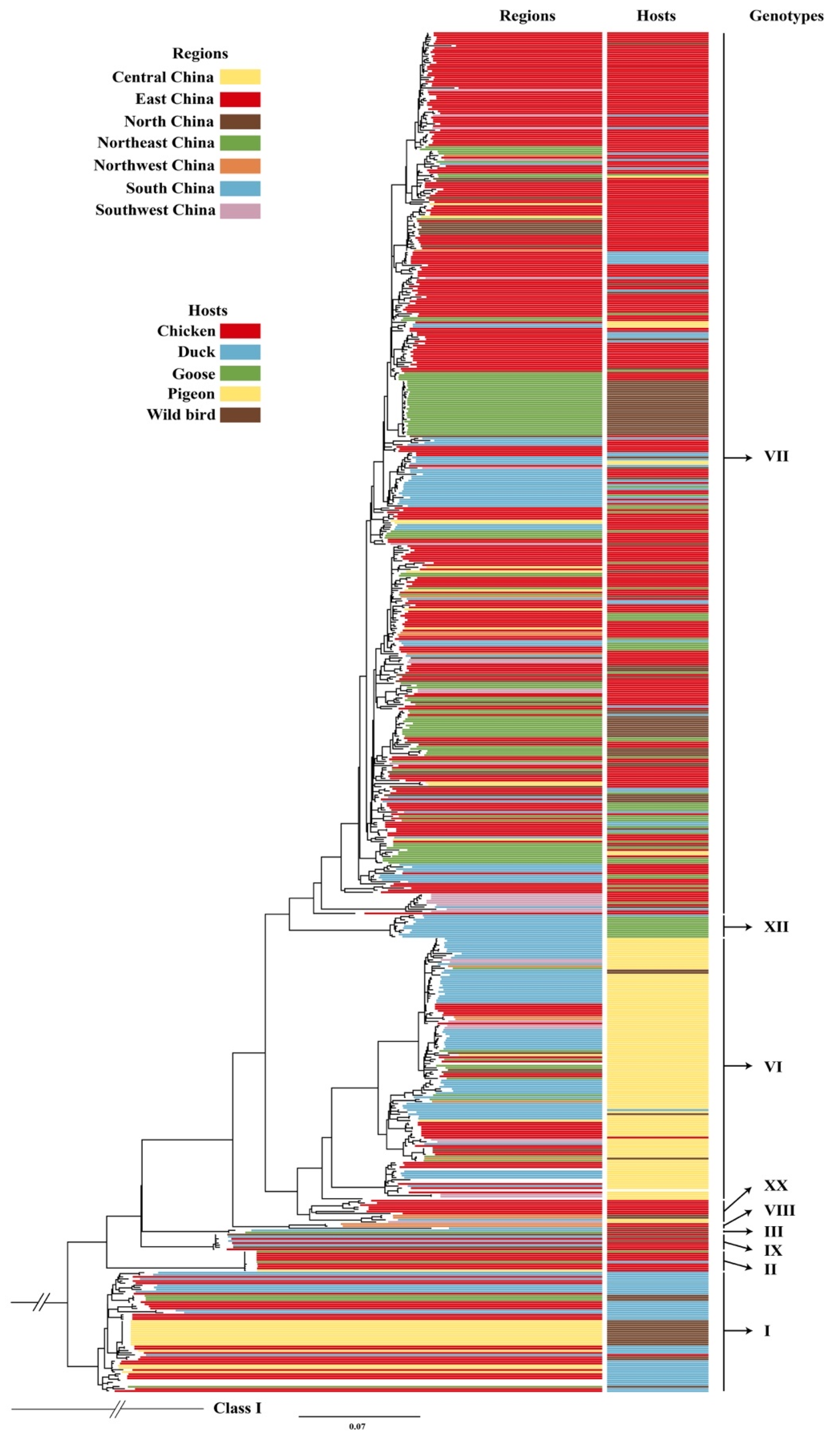 Pathogens 09 00837 g001