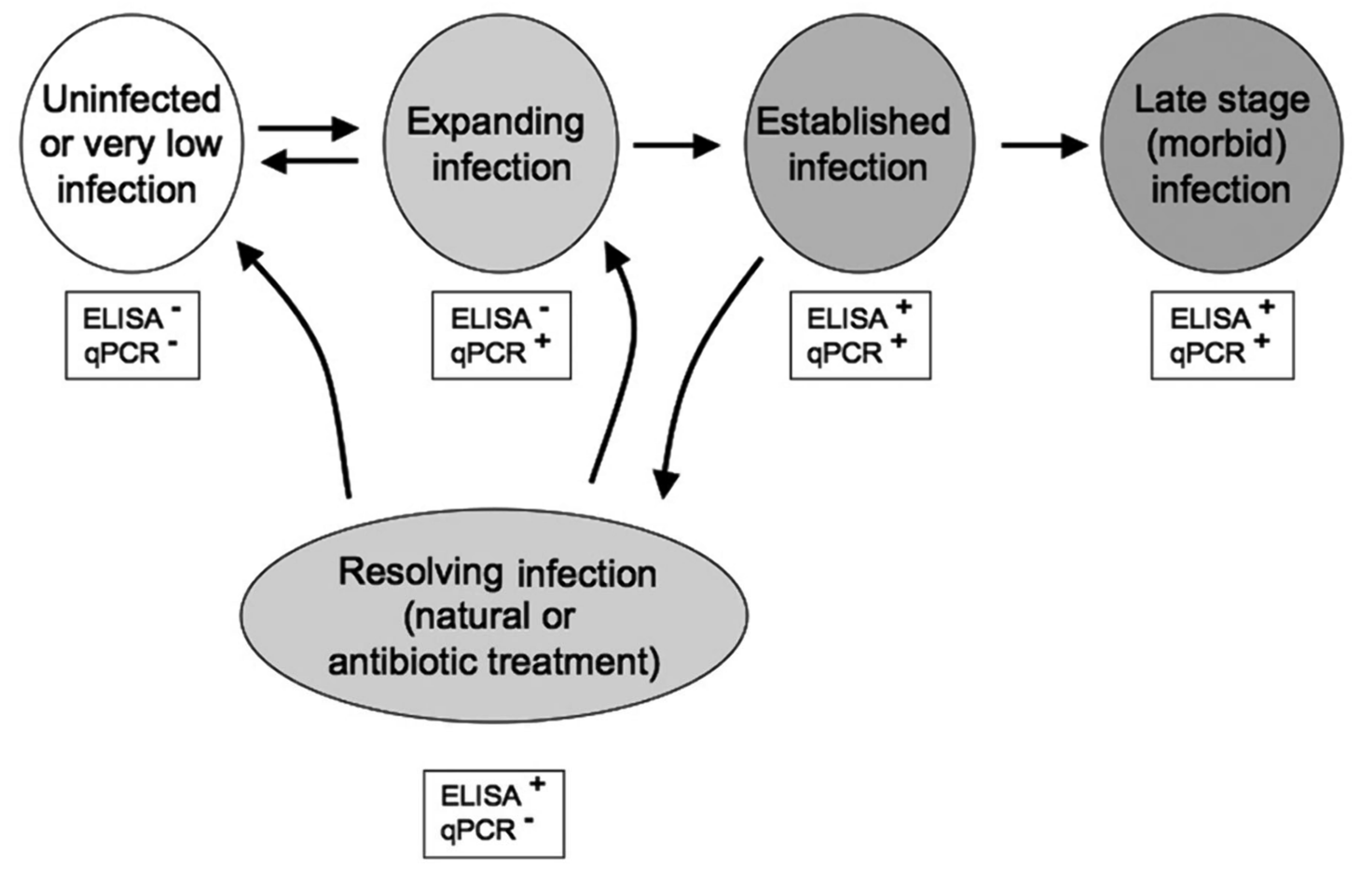 Pathogens 09 00845 g002 Pathogens 09 00845 g002