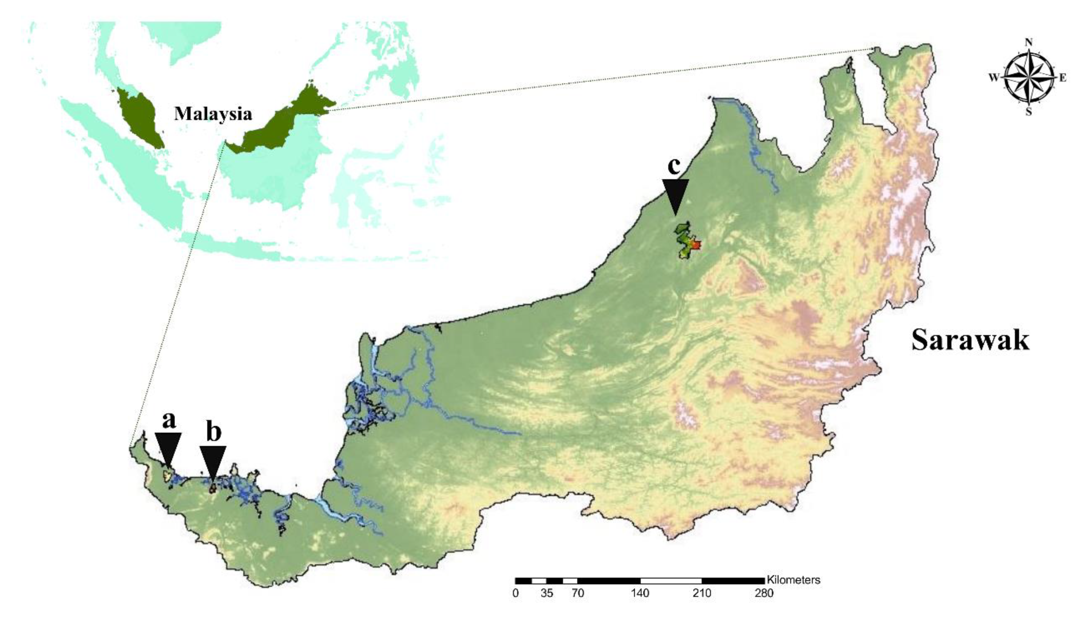 Pathogens  Free Full-Text  Detection of Borrelia burgdorferi 
