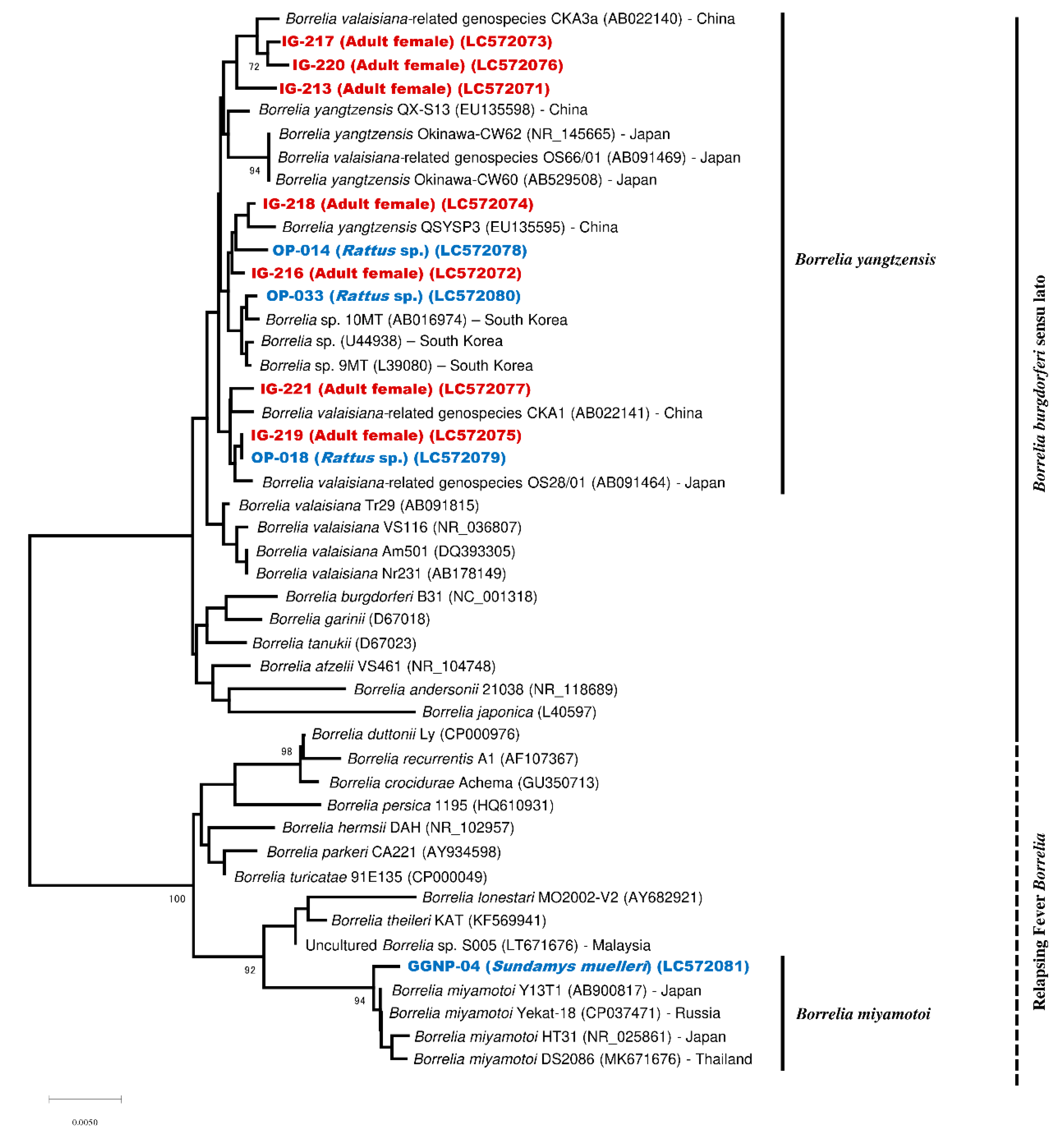 Pathogens 09 00846 g003