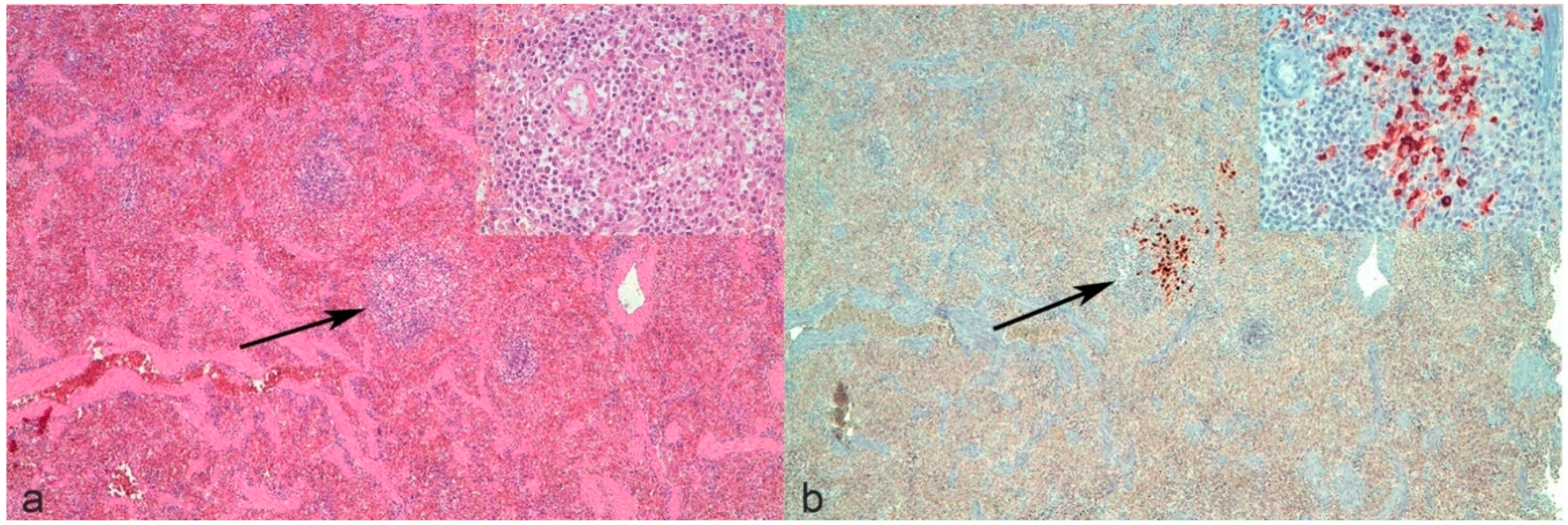 Pathogens 09 00852 g001