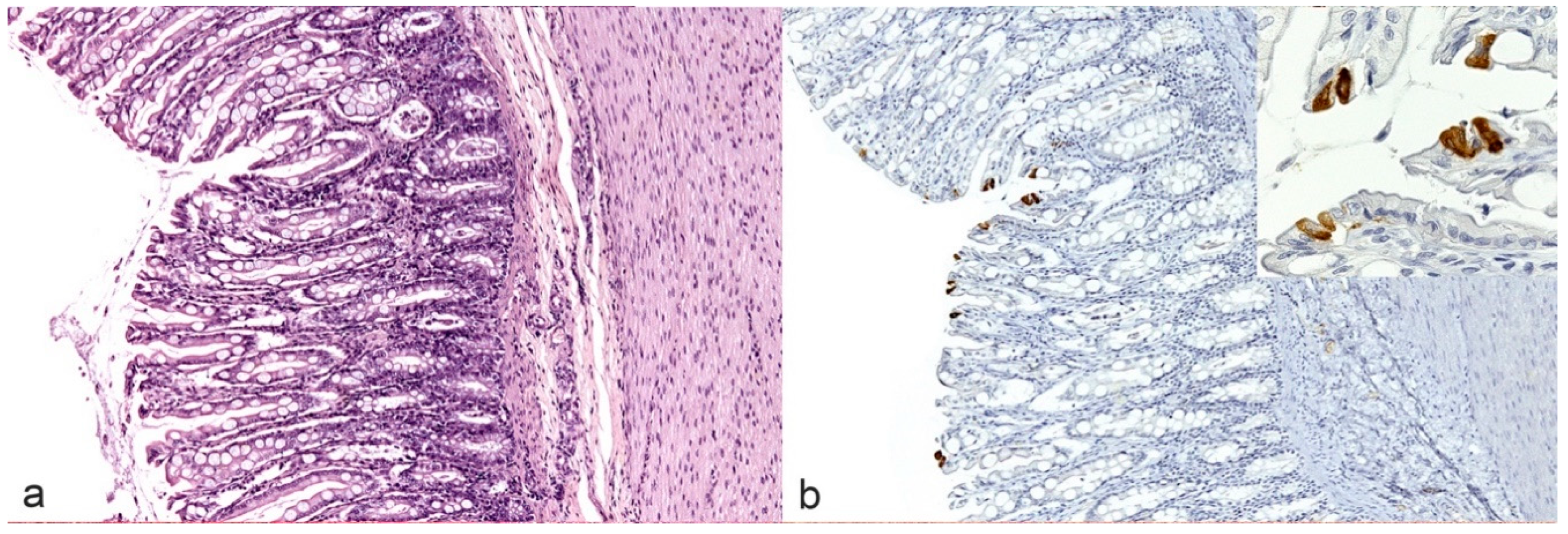 Pathogens 09 00852 g003