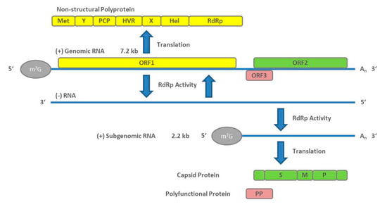 Pathogens 09 00856 g001 550