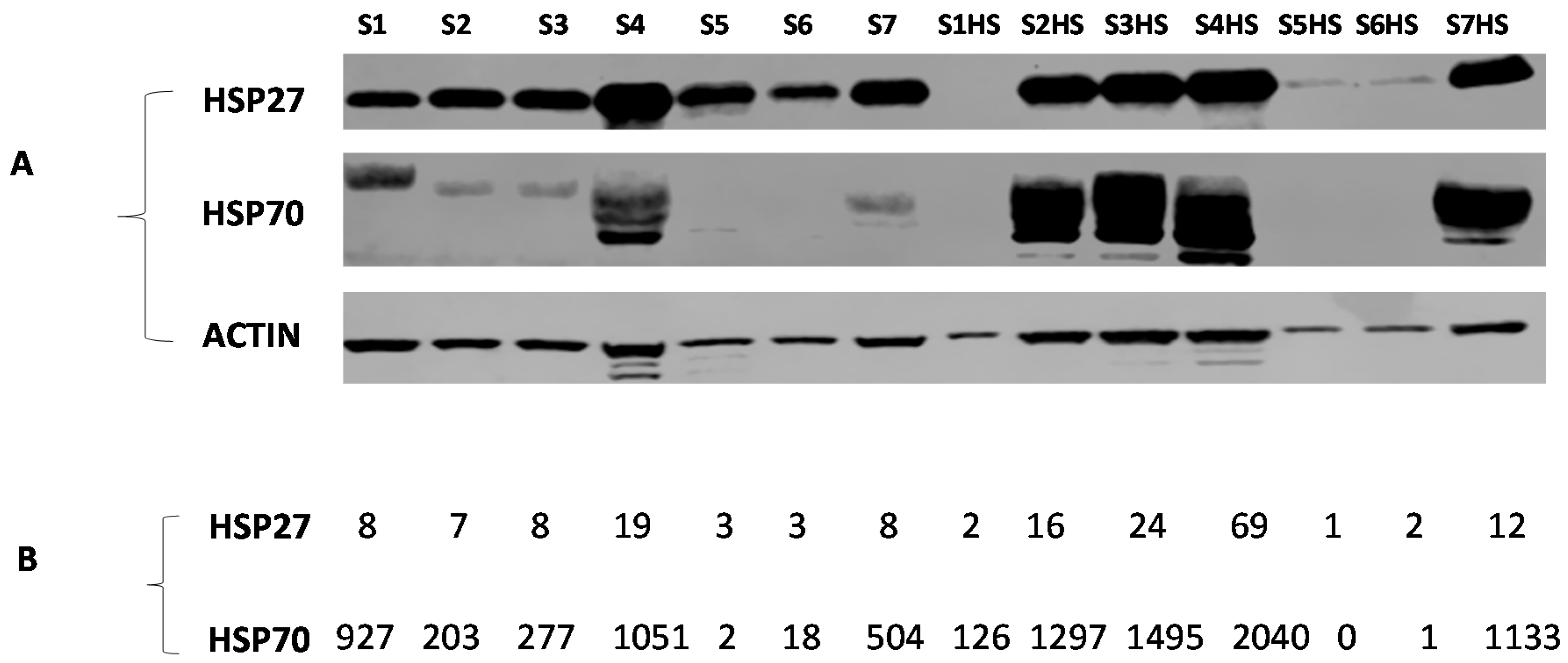Pathogens 09 00863 g004 Pathogens 09 00863 g004