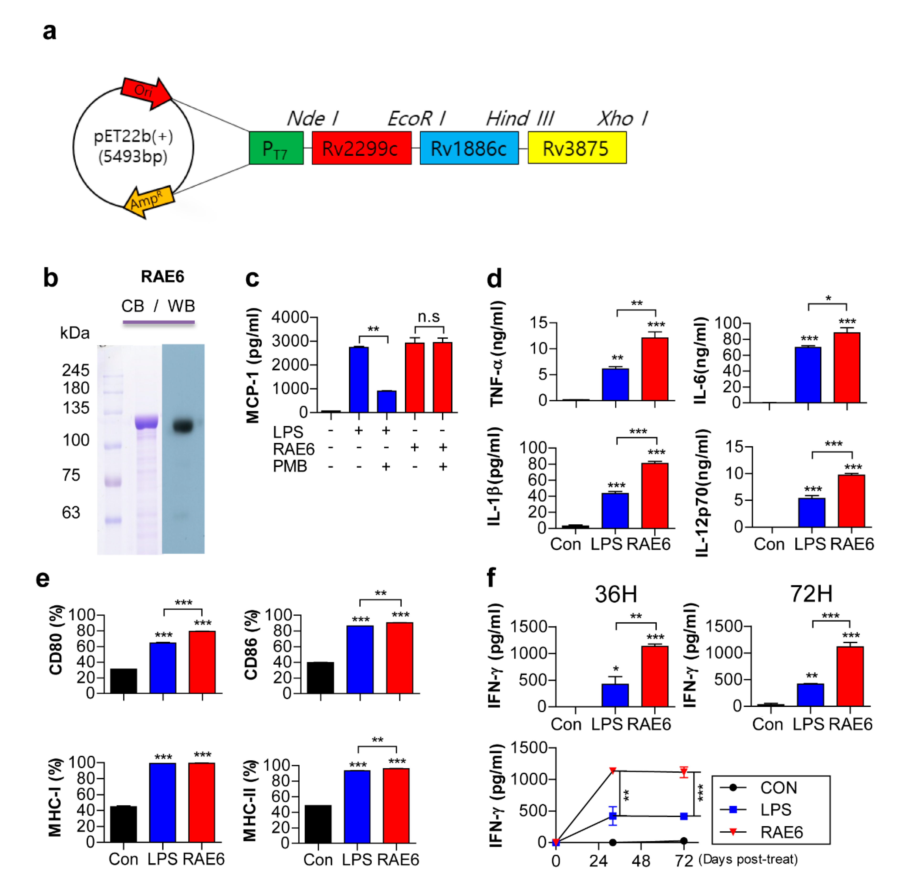 Pathogens 09 00865 g001 Pathogens 09 00865 g001