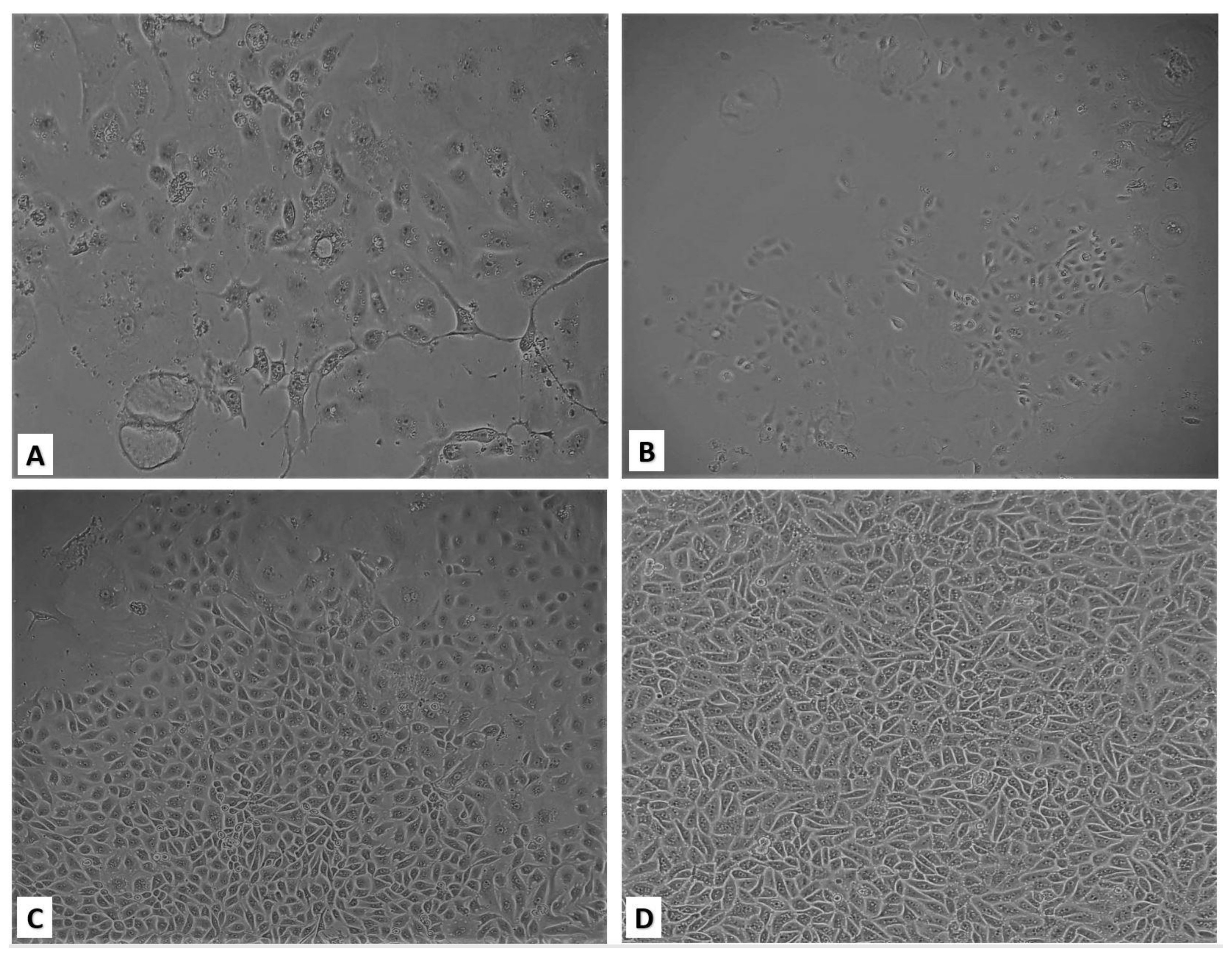 Pathogens 09 00867 g002 Pathogens 09 00867 g002