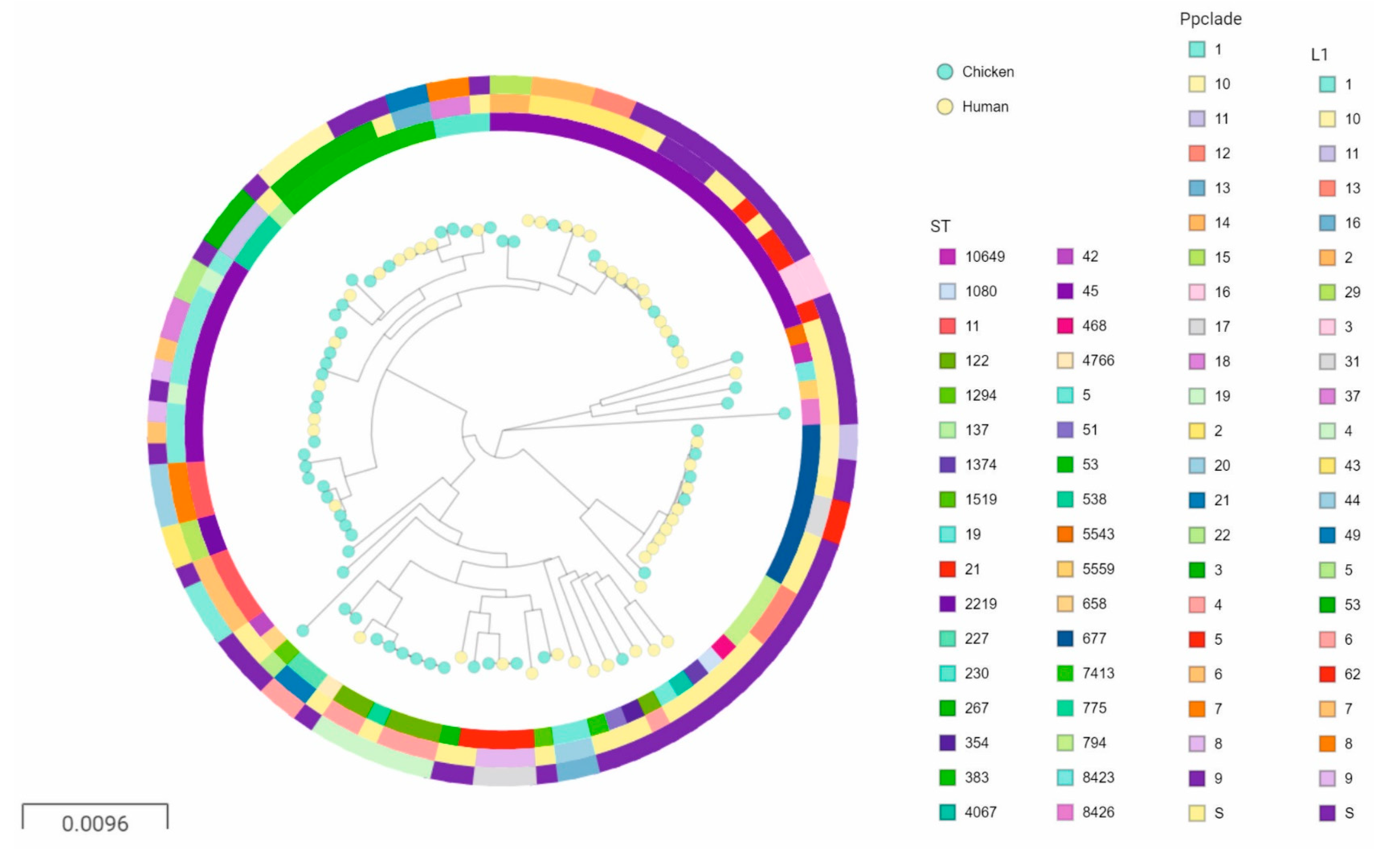 Pathogens 09 00868 g002 Pathogens 09 00868 g002
