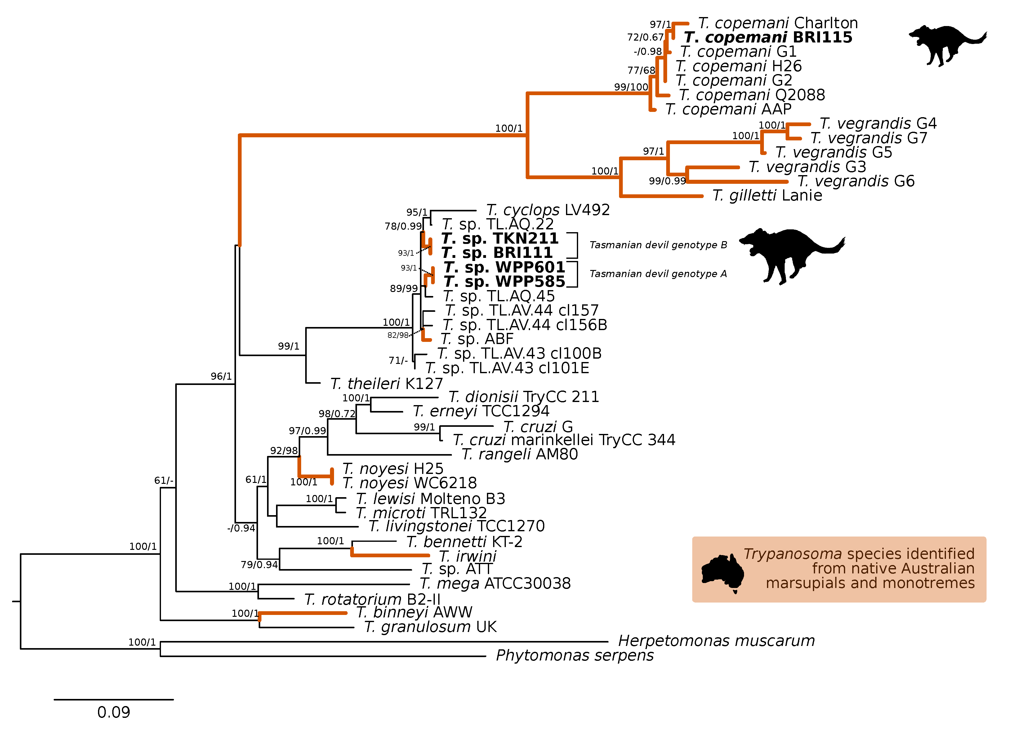 Pathogens 09 00873 g002 Pathogens 09 00873 g002