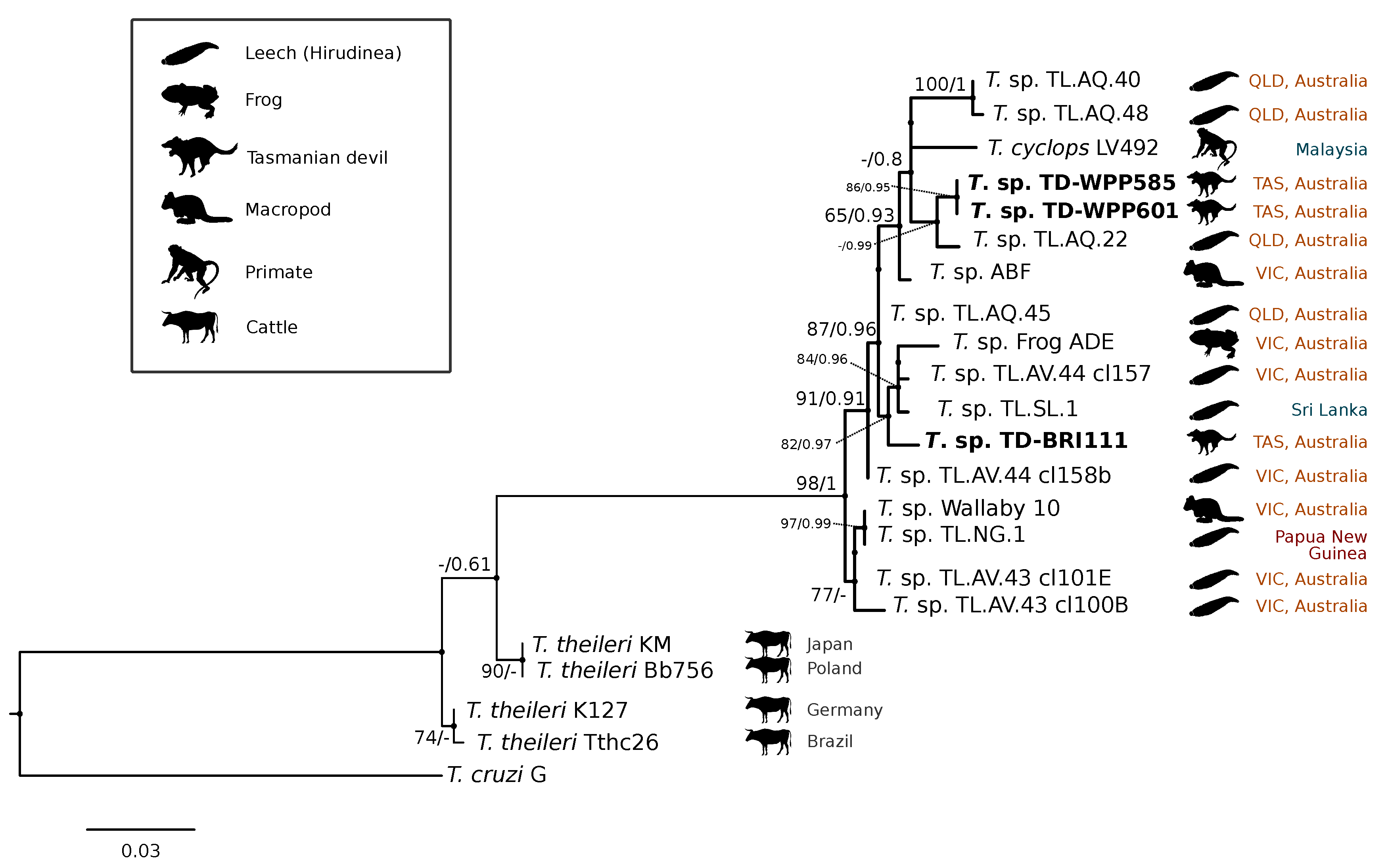 Pathogens 09 00873 g004 Pathogens 09 00873 g004