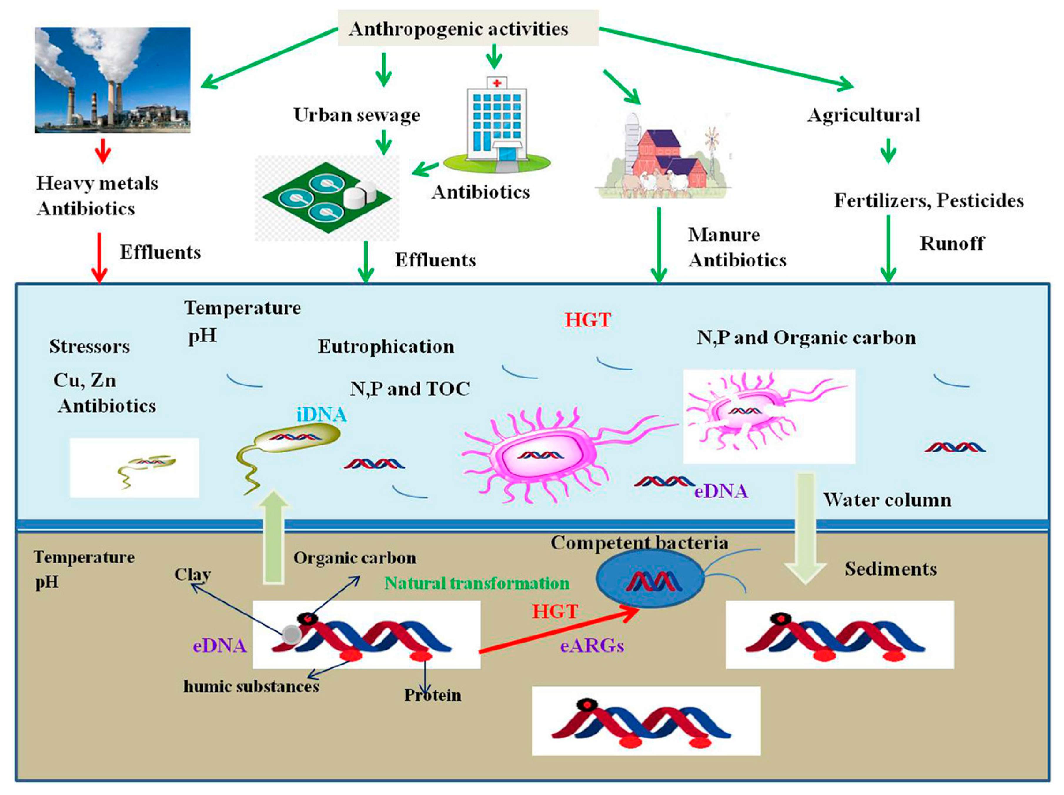 Pathogens Free Full Text Extracellular Dna Edna Neglected And Potential Sources Of Antibiotic Resistant Genes Args In The Aquatic Environments Html