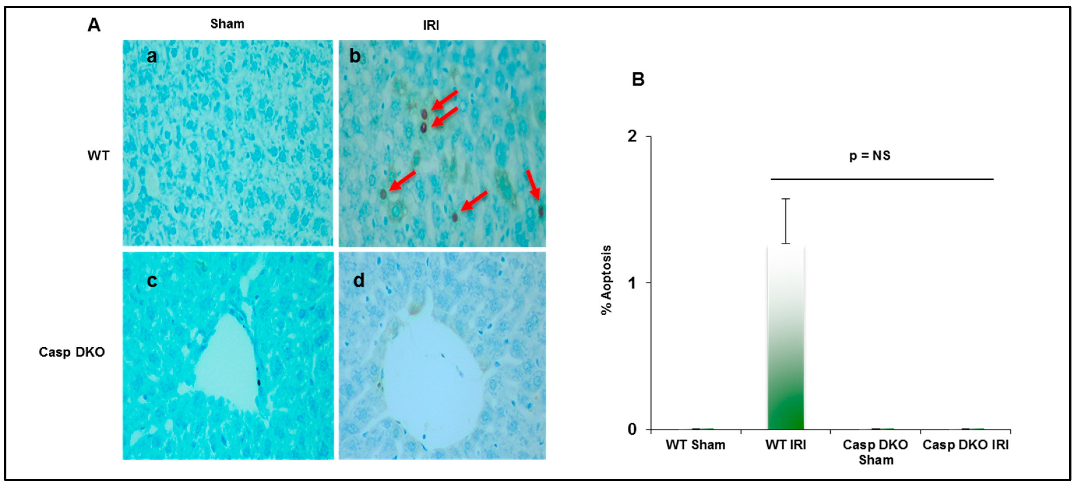 Pathogens 09 00879 g008 Pathogens 09 00879 g008