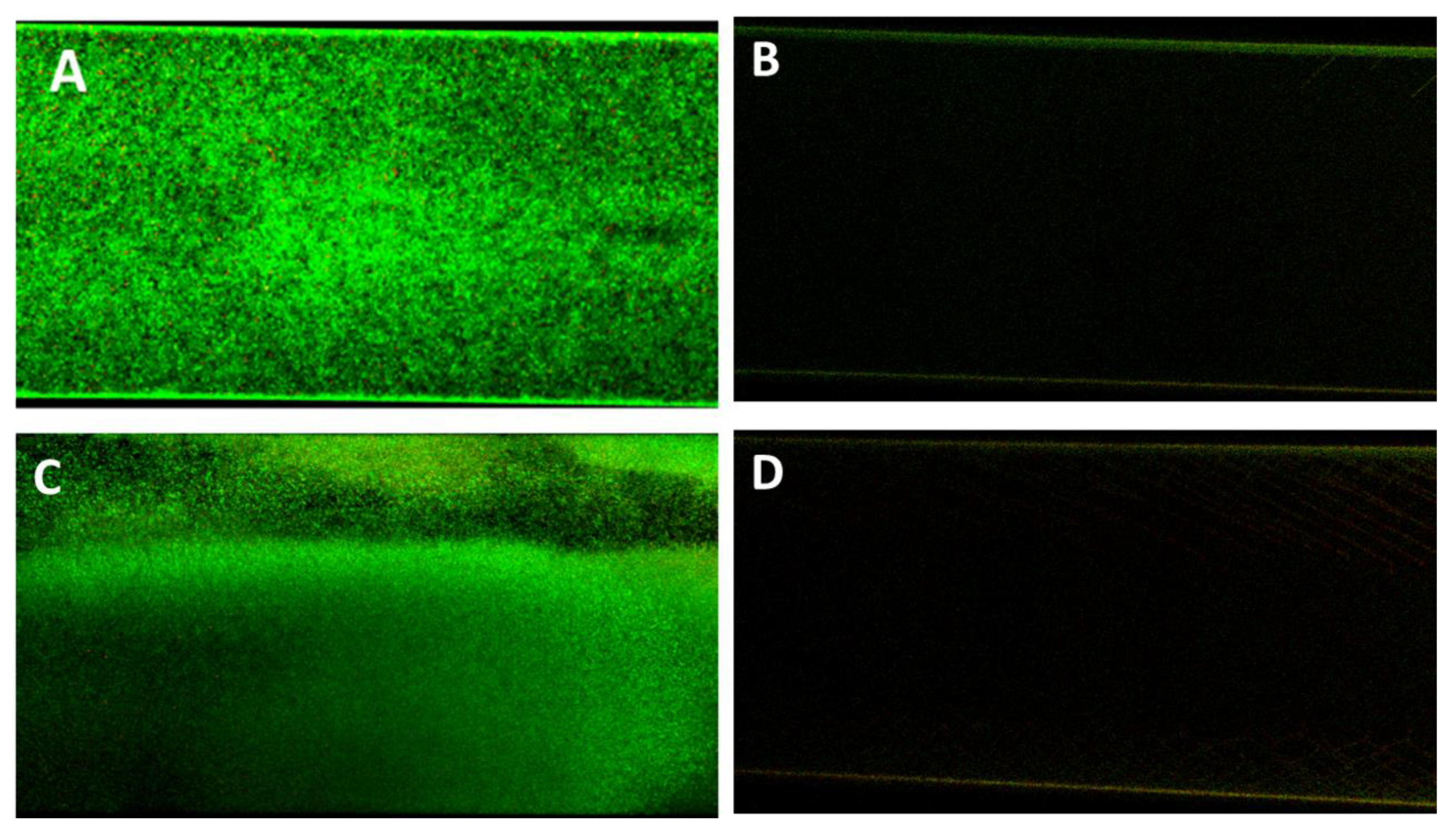 Pathogens 09 00885 g009