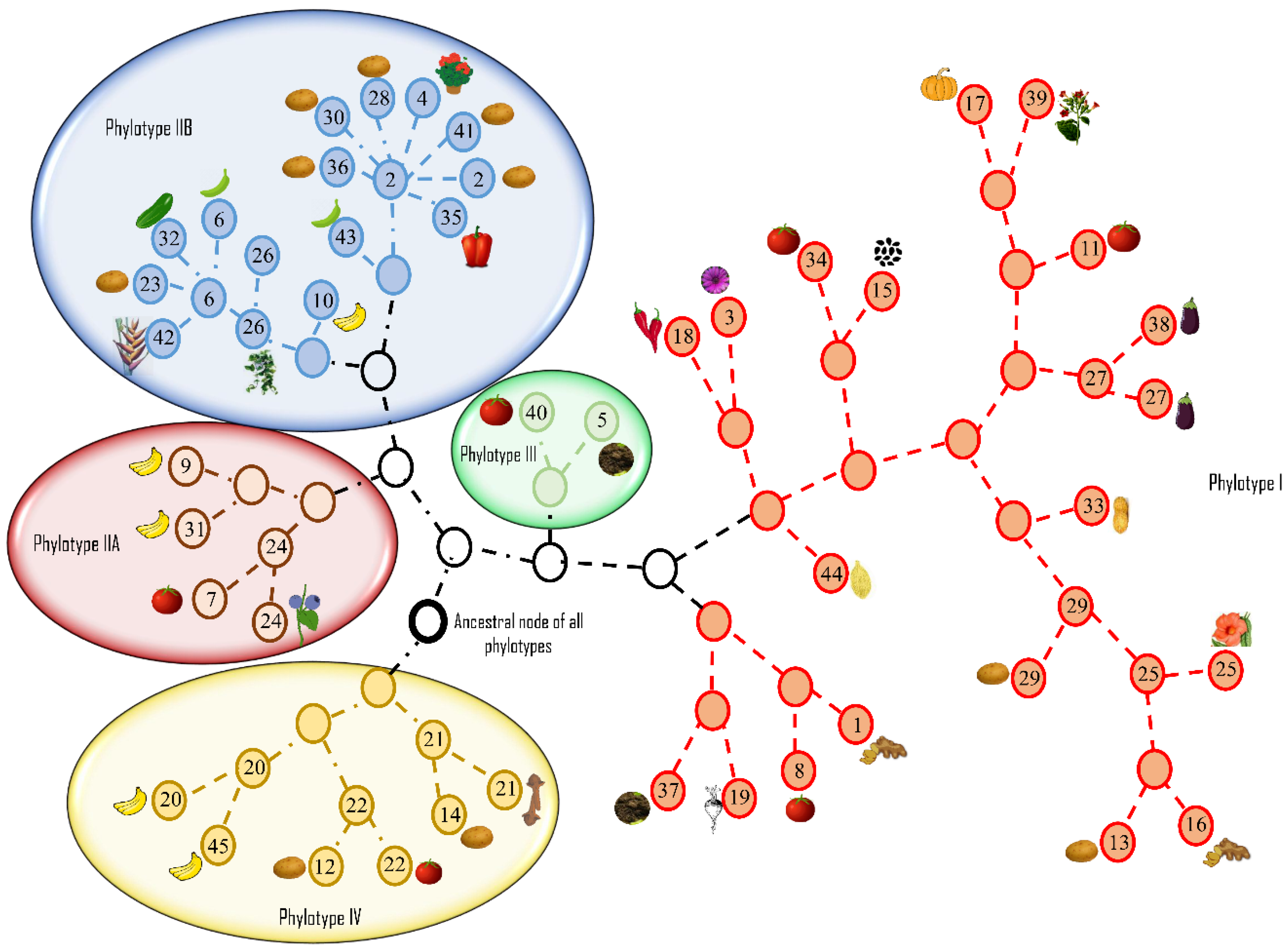 Pathogens 09 00886 g004 Pathogens 09 00886 g004