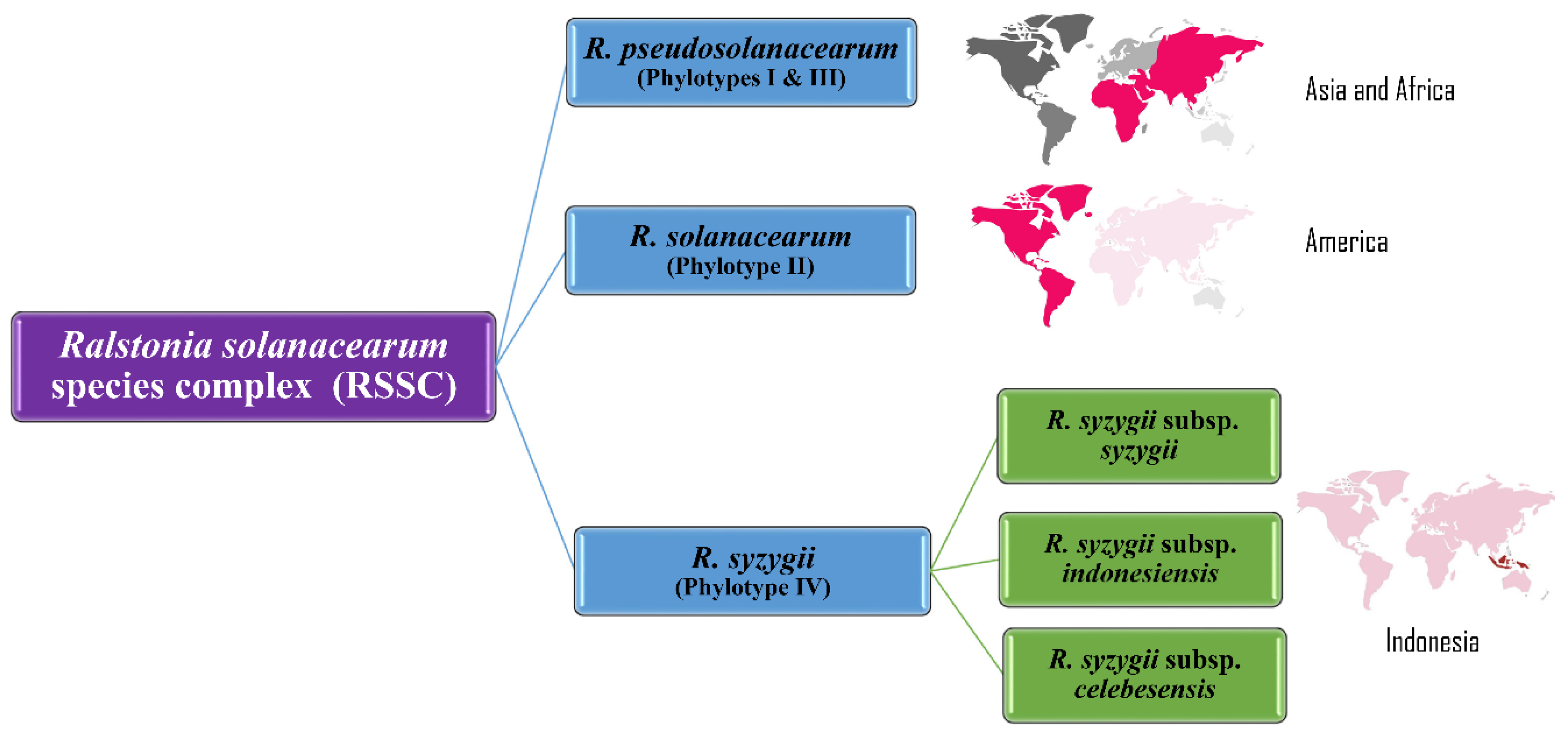 Pathogens 09 00886 g005 Pathogens 09 00886 g005