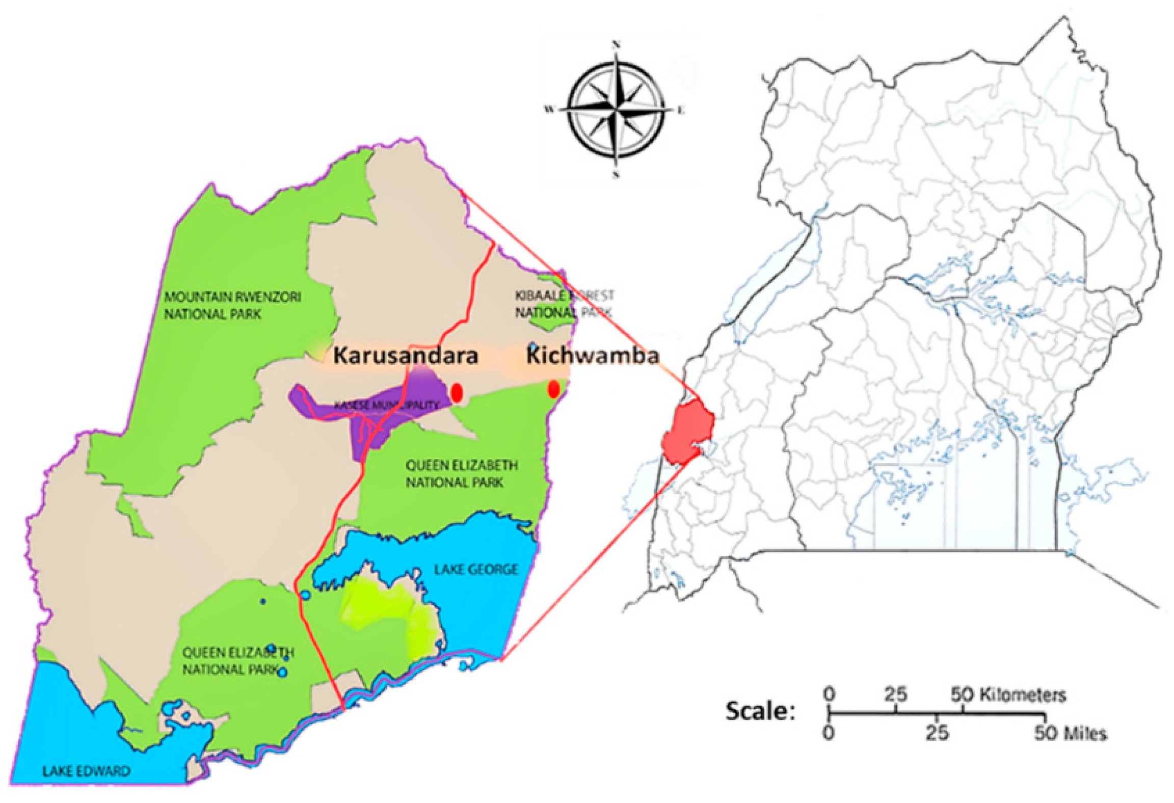 Pathogens 09 00895 g001