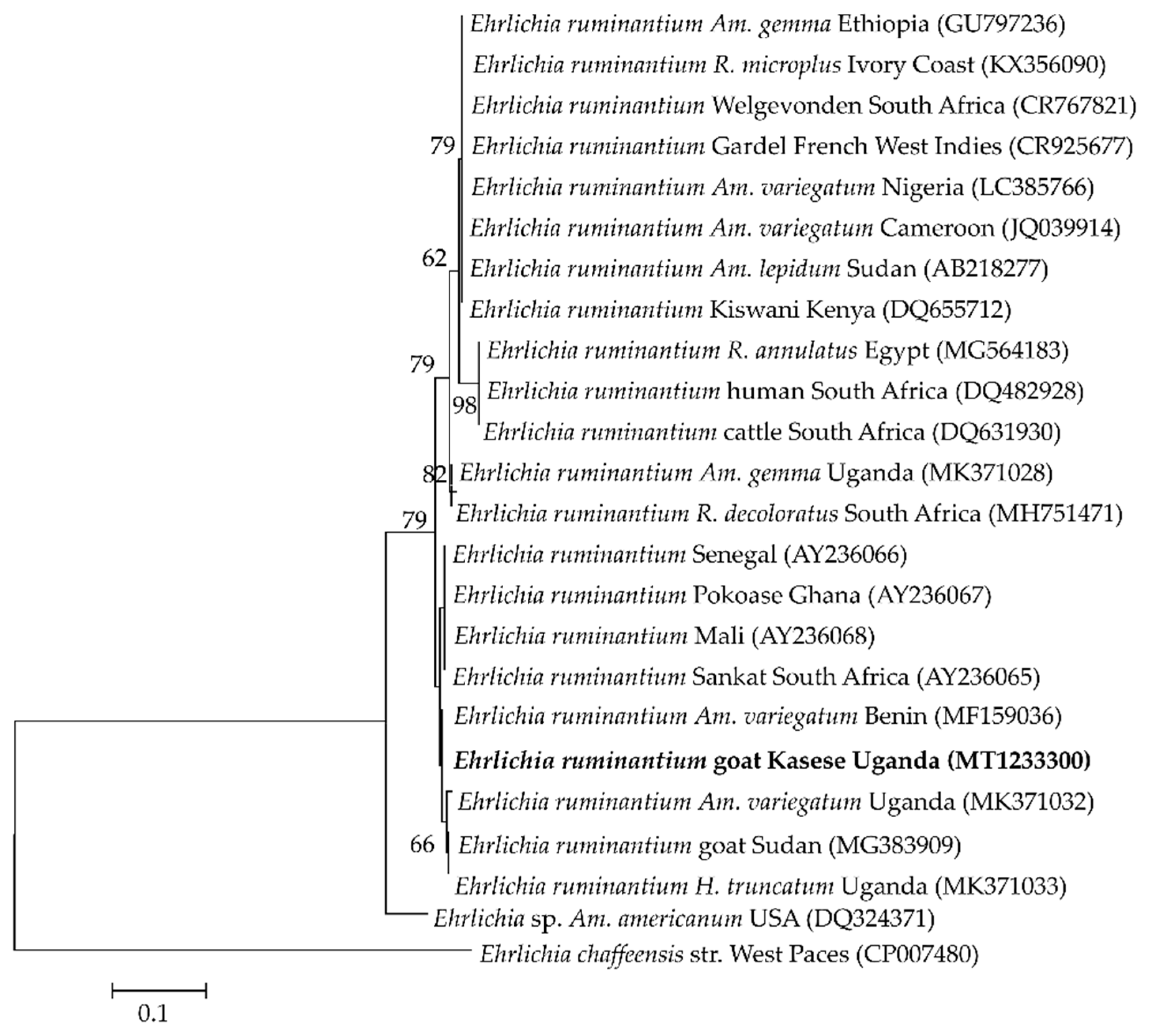 Pathogens 09 00895 g005