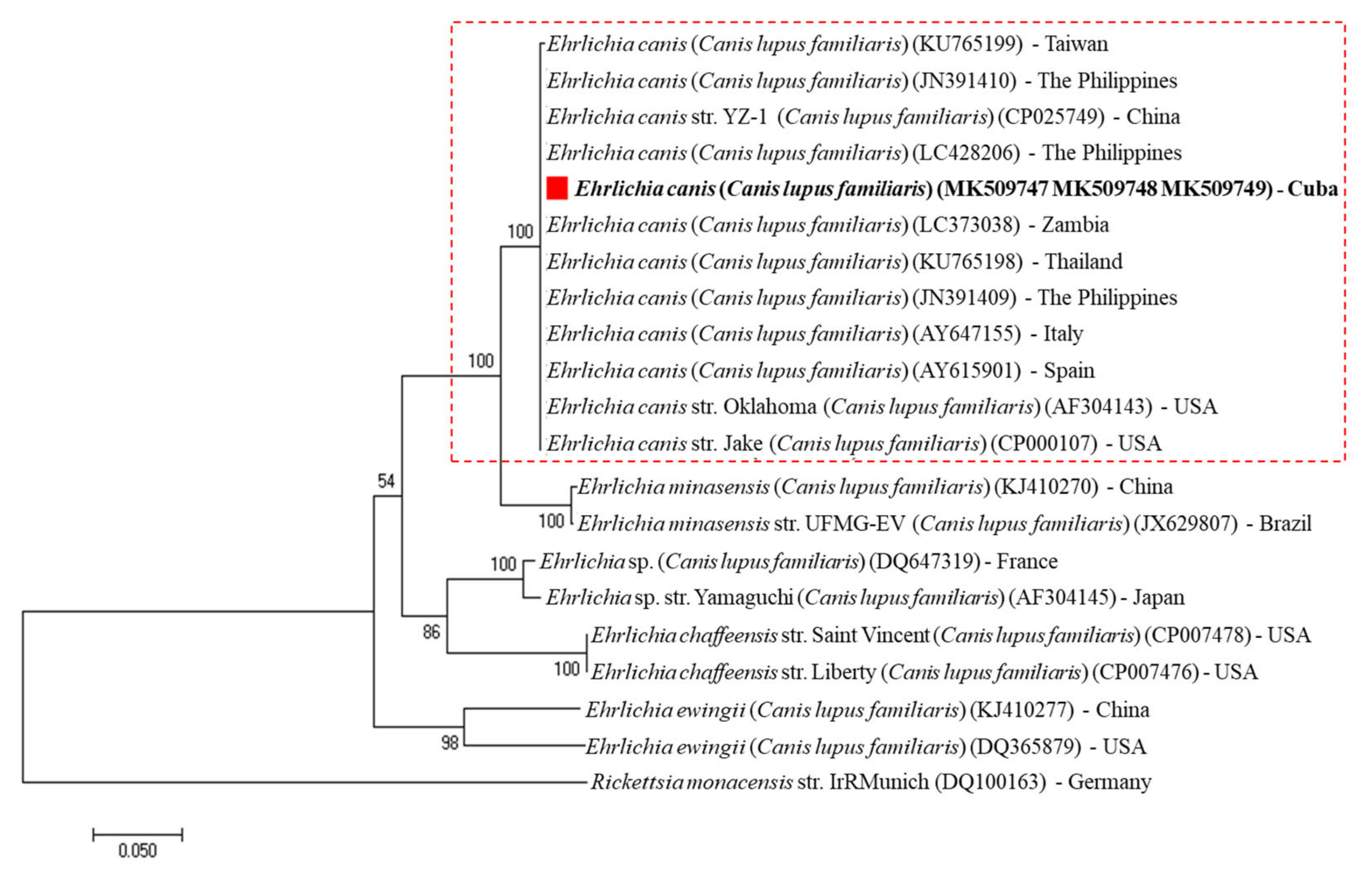 Pathogens 09 00901 g004 Pathogens 09 00901 g004