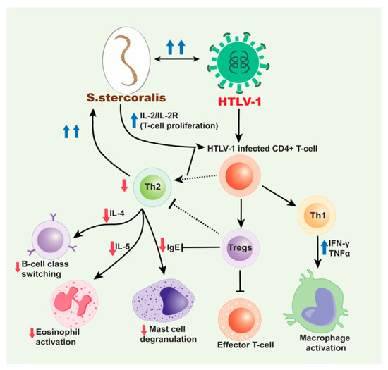 Pathogens 09 00904 g002 550