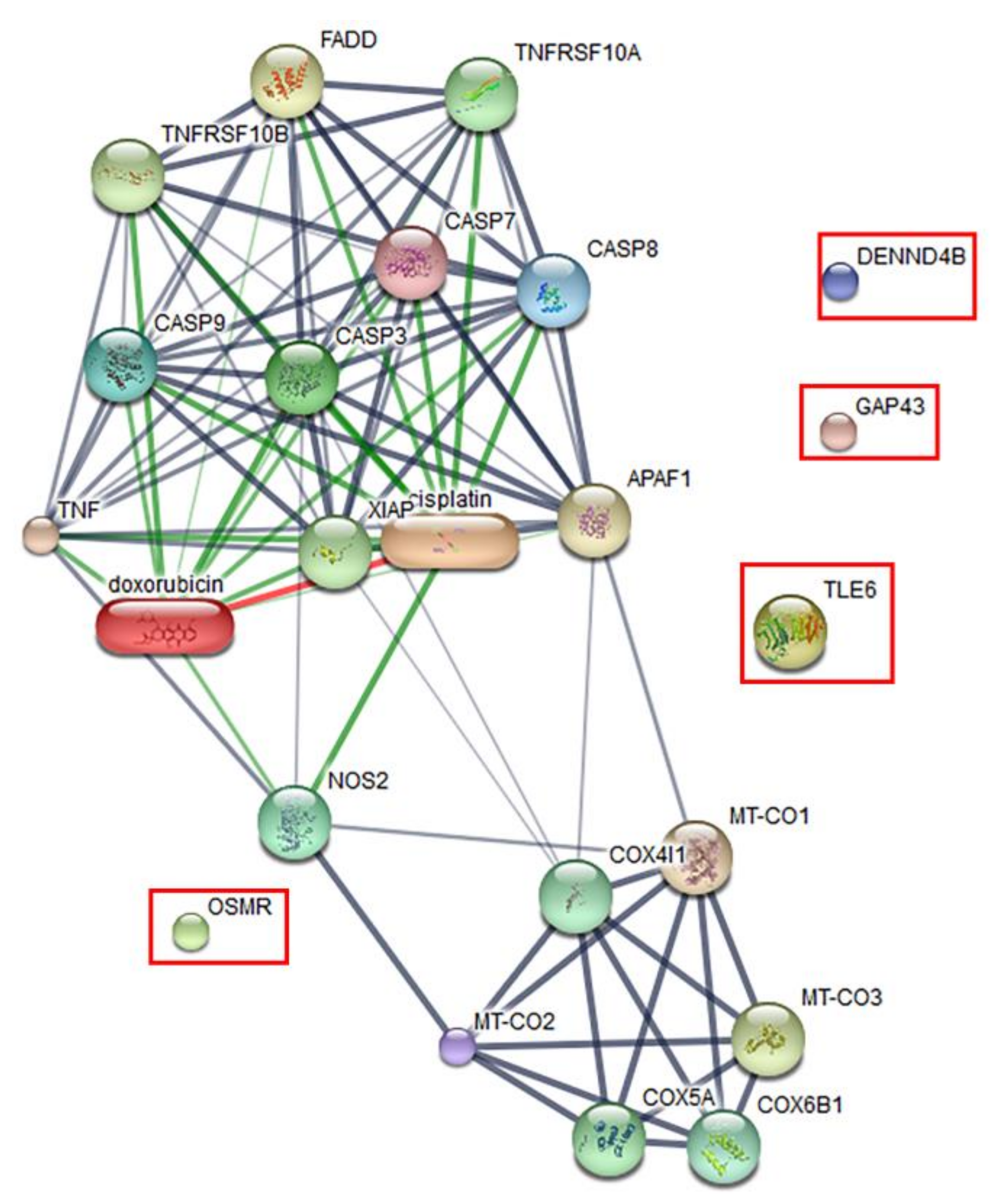 Pathogens 09 00906 g007