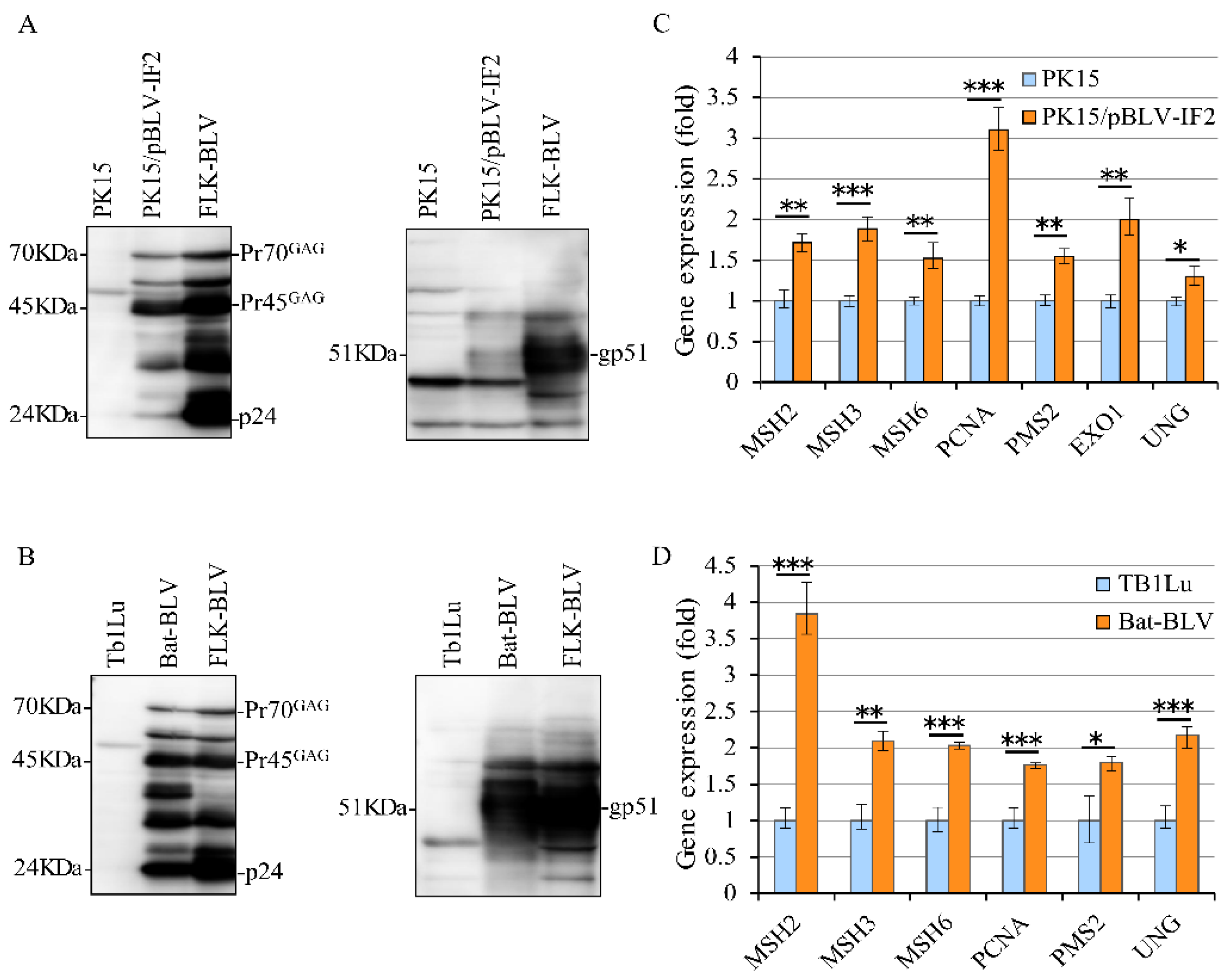 Pathogens 09 00909 g005