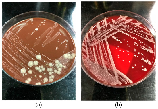 Pathogens 09 00922 g002 550