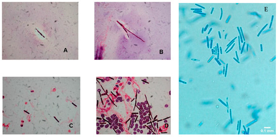 Pathogens 09 00922 g003 550