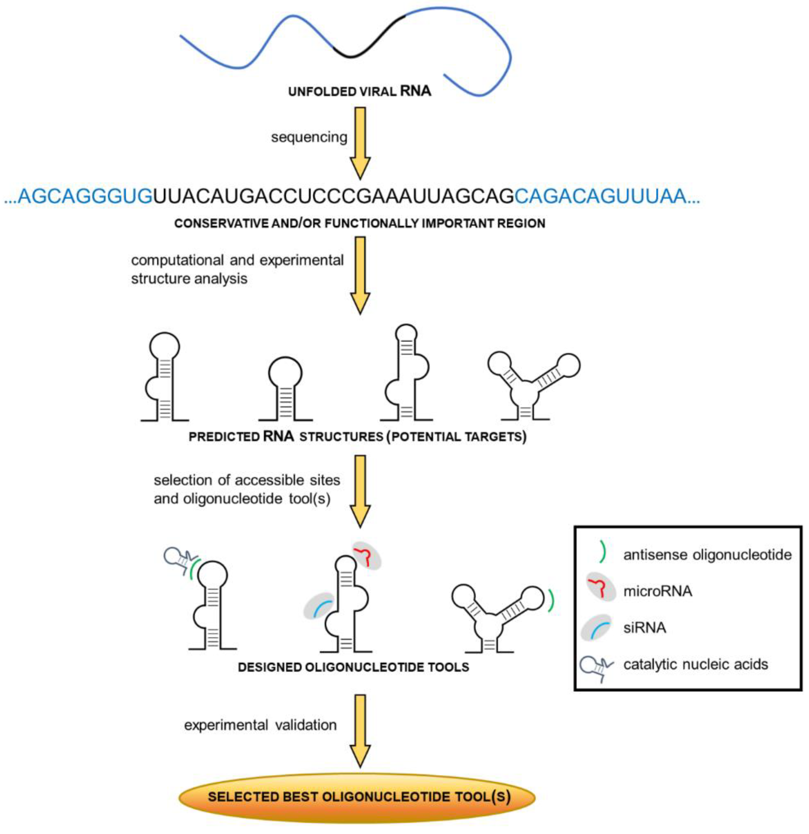 Pathogens 09 00925 g002