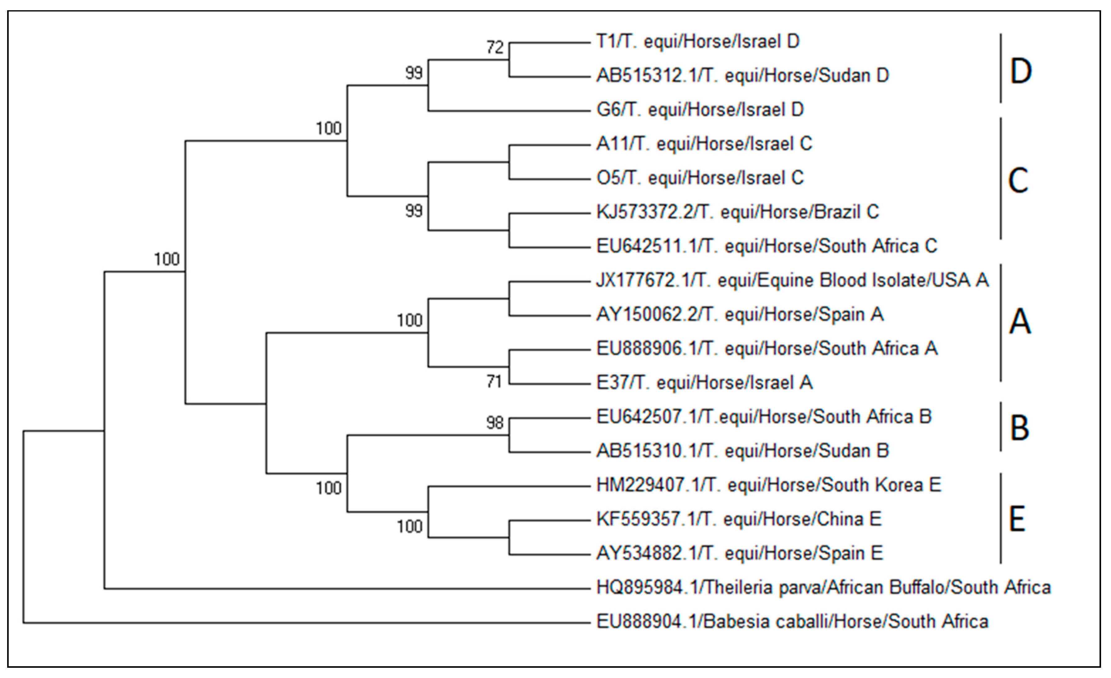 Pathogens 09 00926 g004 Pathogens 09 00926 g004