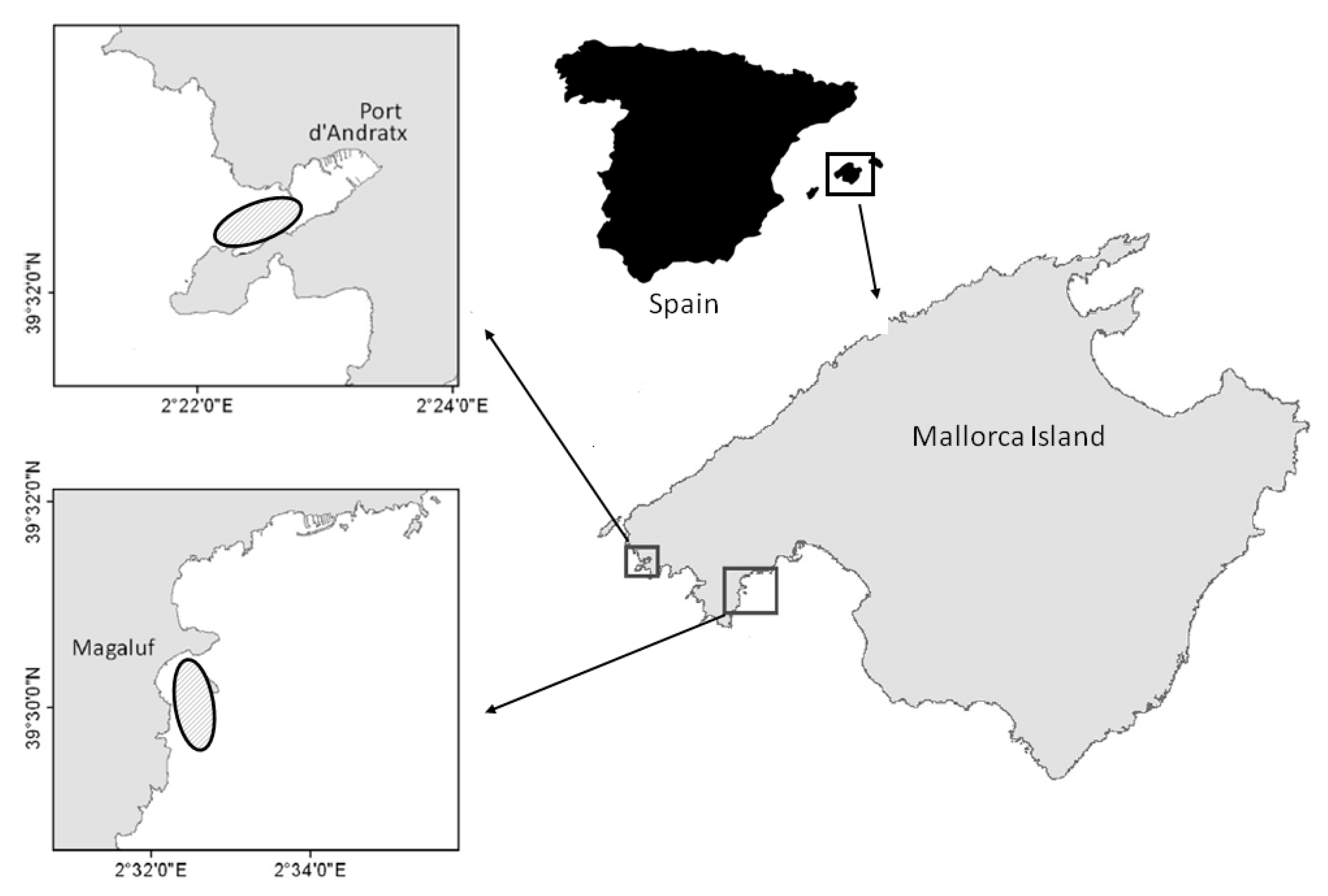 Pathogens 09 00932 g006 Pathogens 09 00932 g006