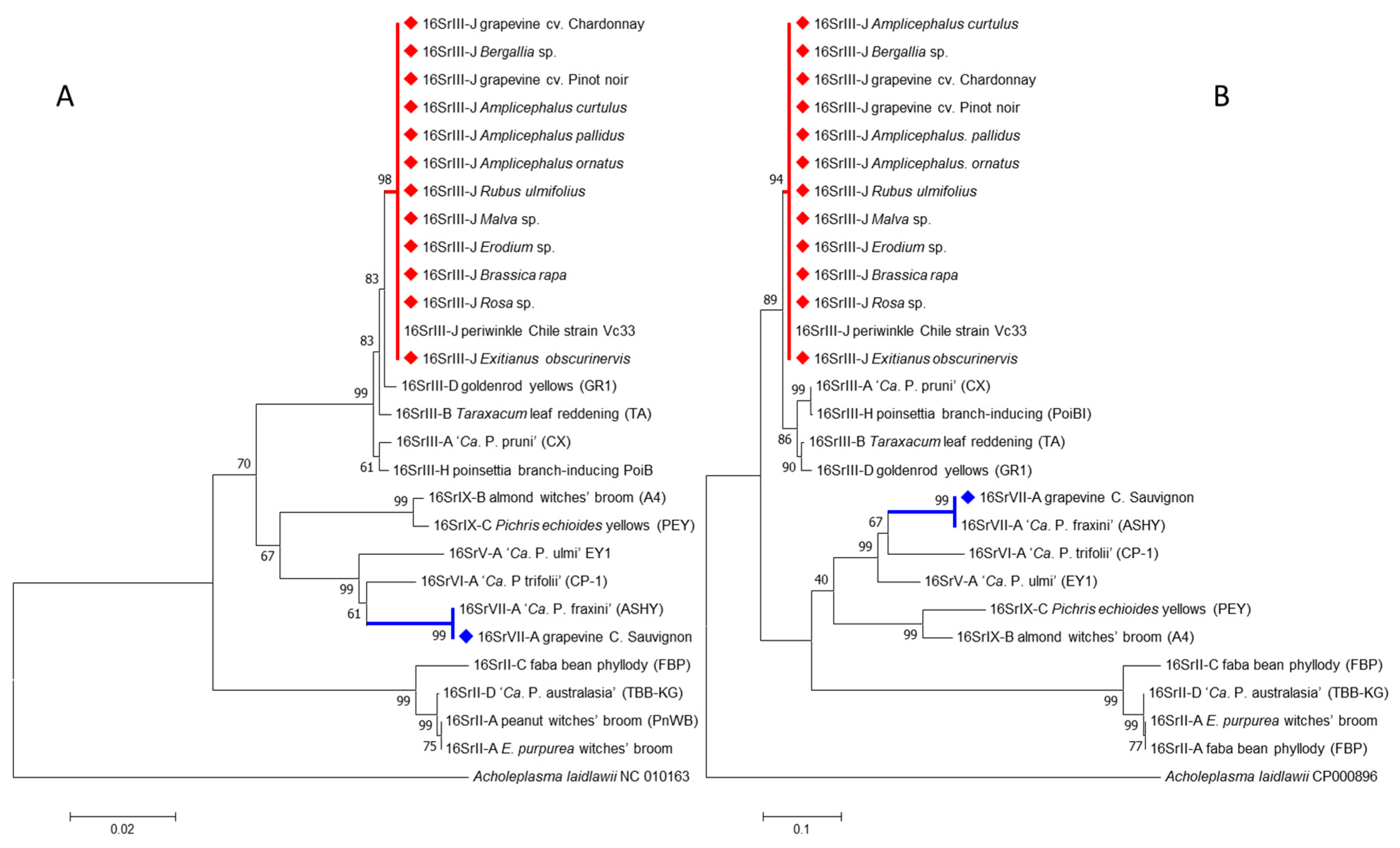 Pathogens 09 00933 g005 Pathogens 09 00933 g005