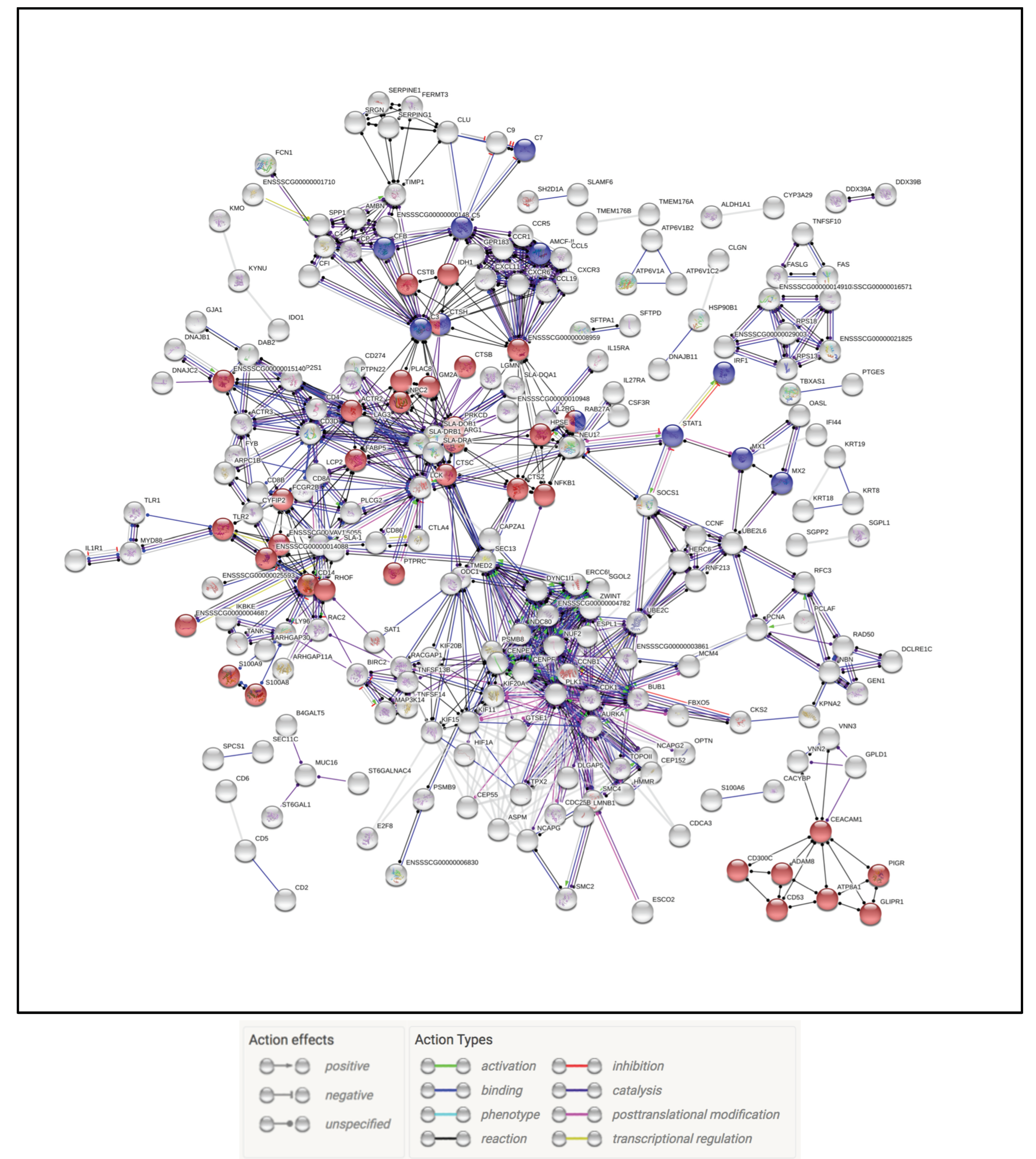 Pathogens 09 00934 g003 Pathogens 09 00934 g003