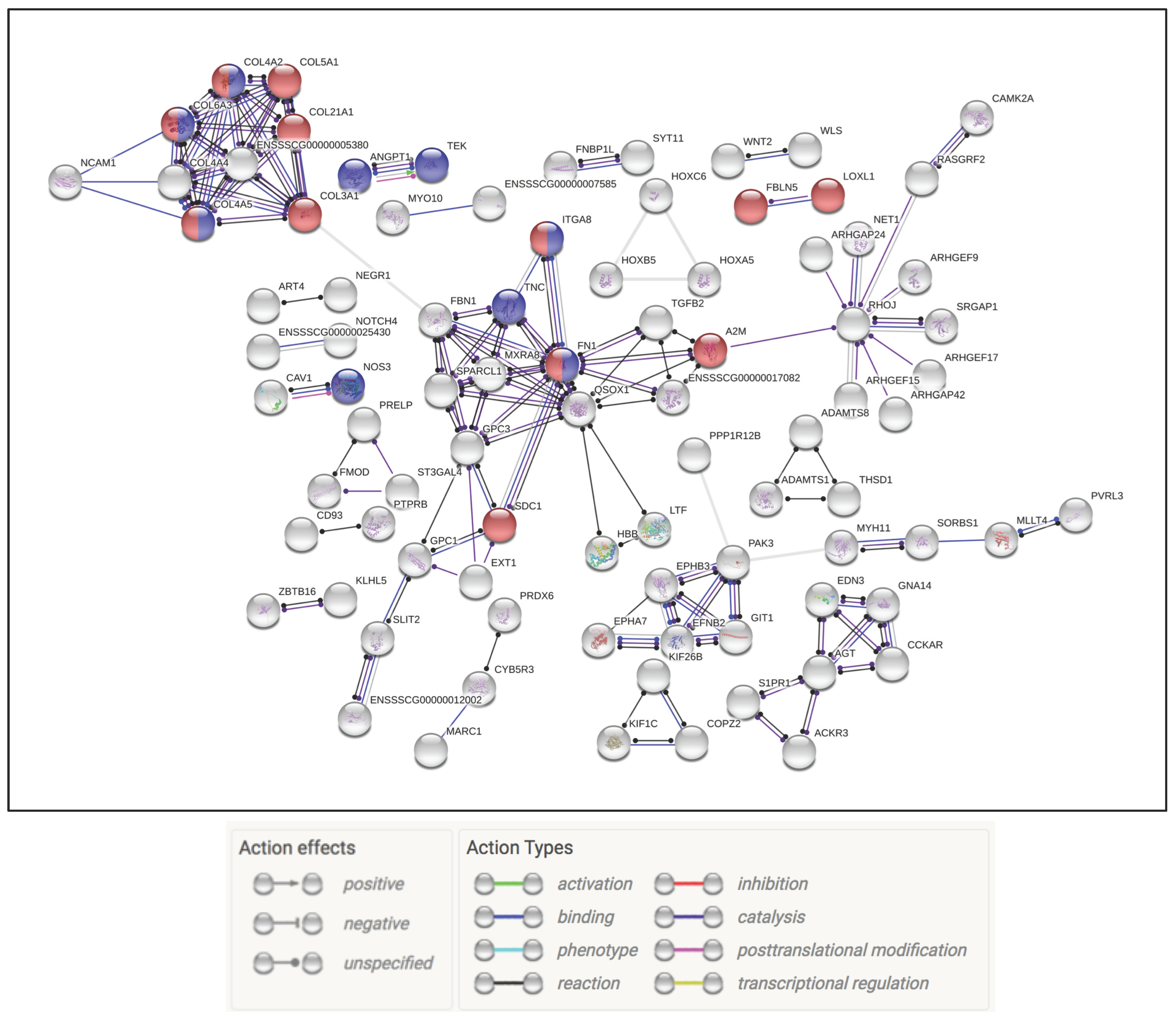 Pathogens 09 00934 g004 Pathogens 09 00934 g004