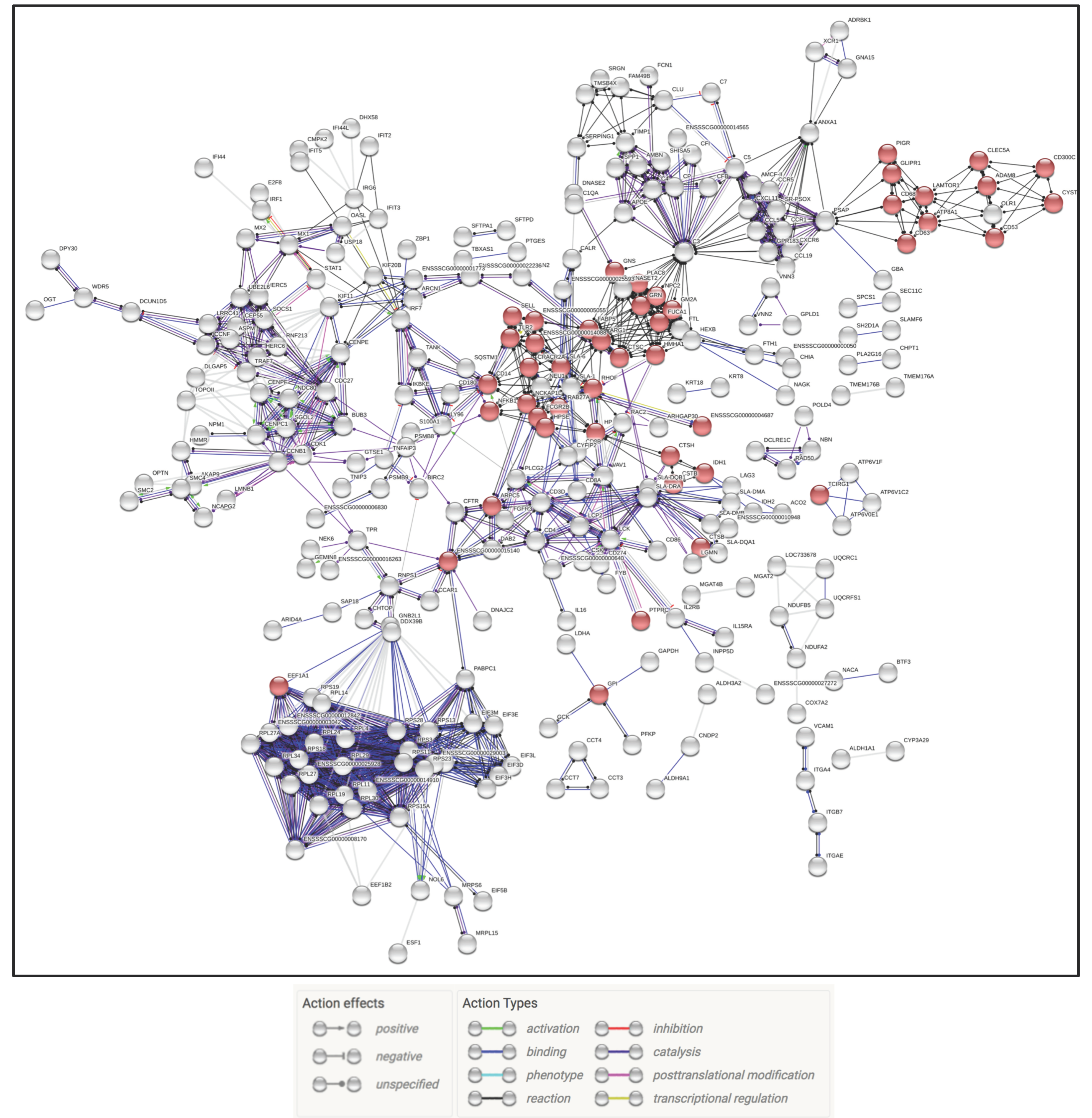 Pathogens 09 00934 g005 Pathogens 09 00934 g005