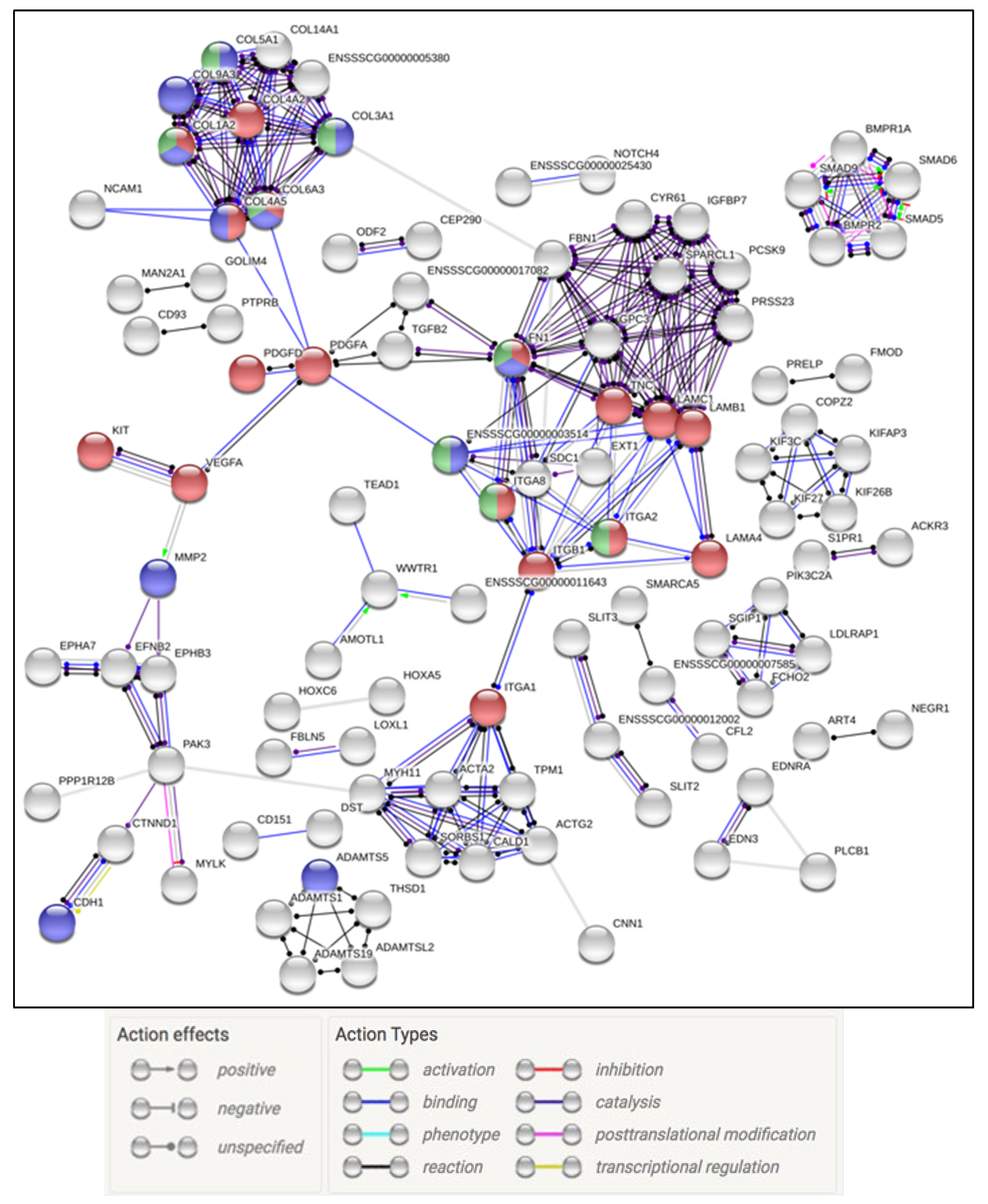 Pathogens 09 00934 g006 Pathogens 09 00934 g006