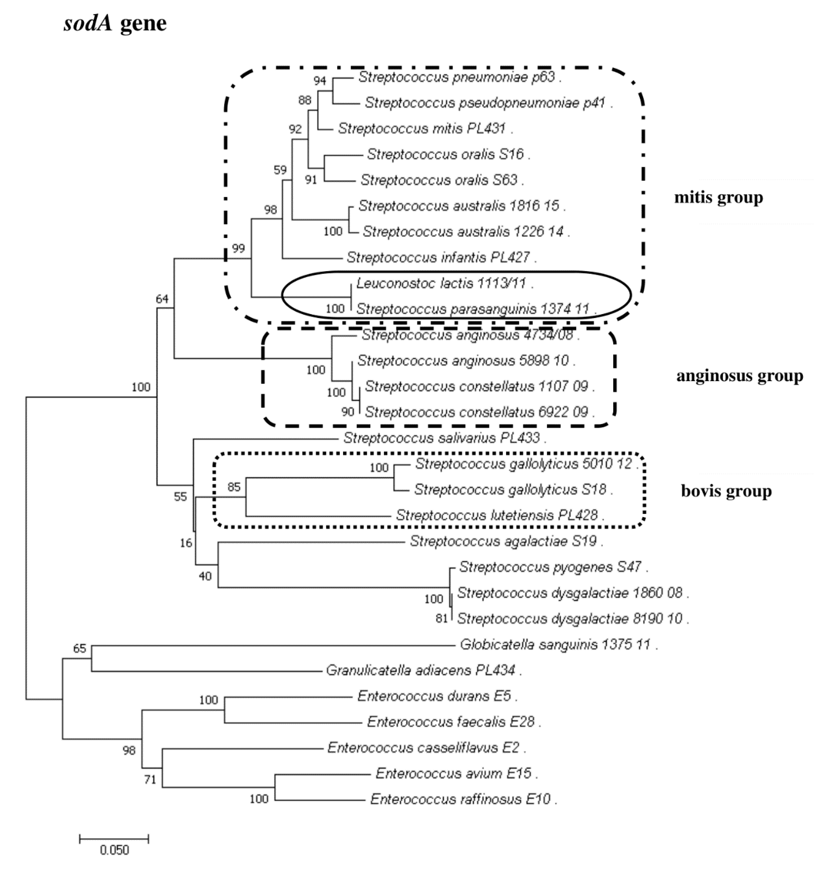 Pathogens 09 00939 g003 Pathogens 09 00939 g003