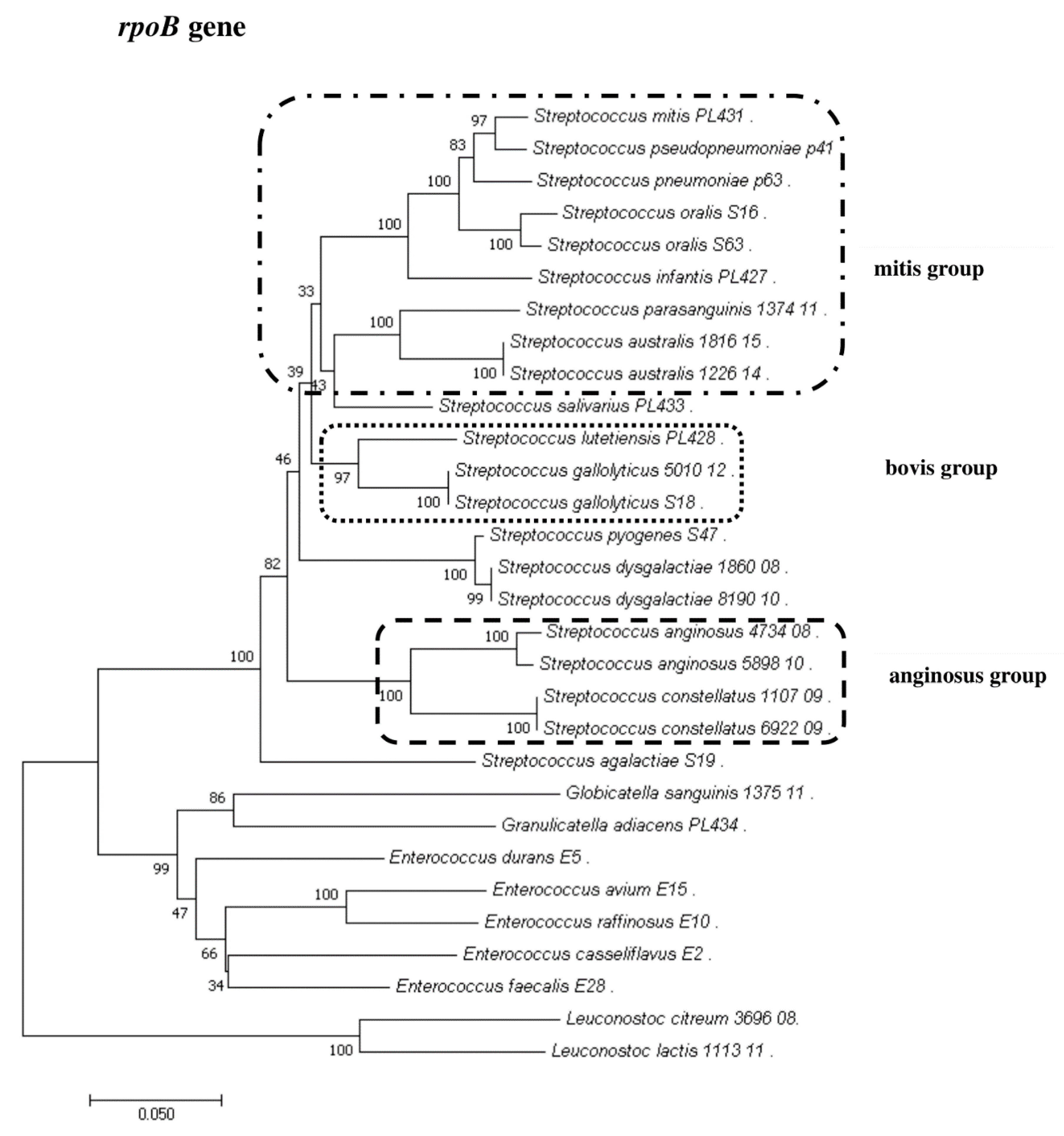 Pathogens 09 00939 g005 Pathogens 09 00939 g005
