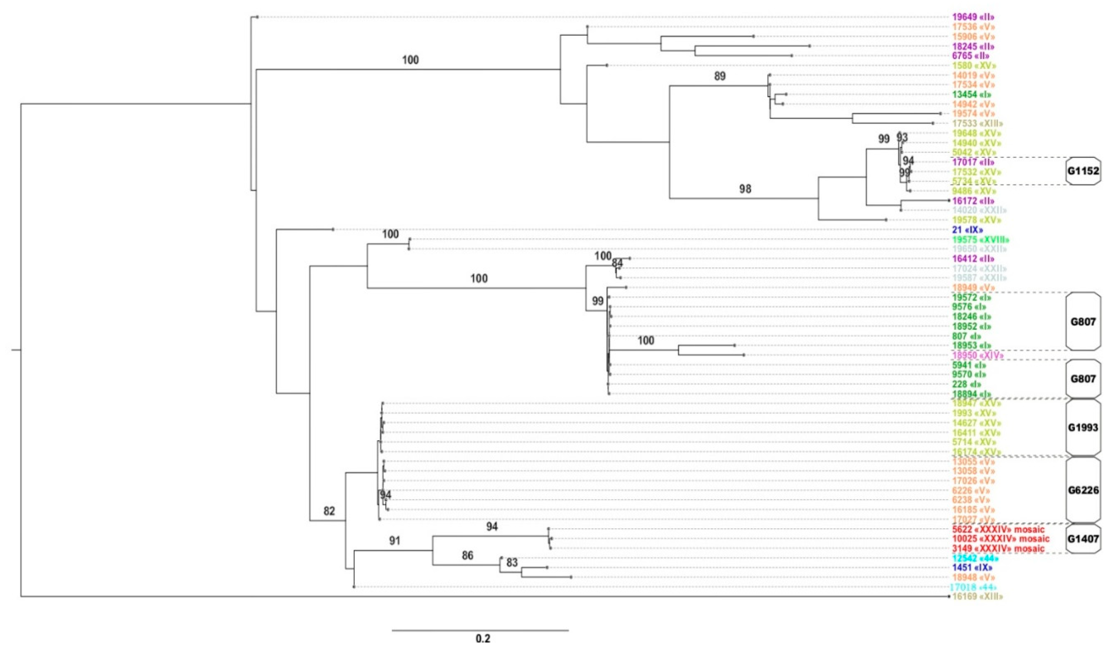 Pathogens 09 00941 g002