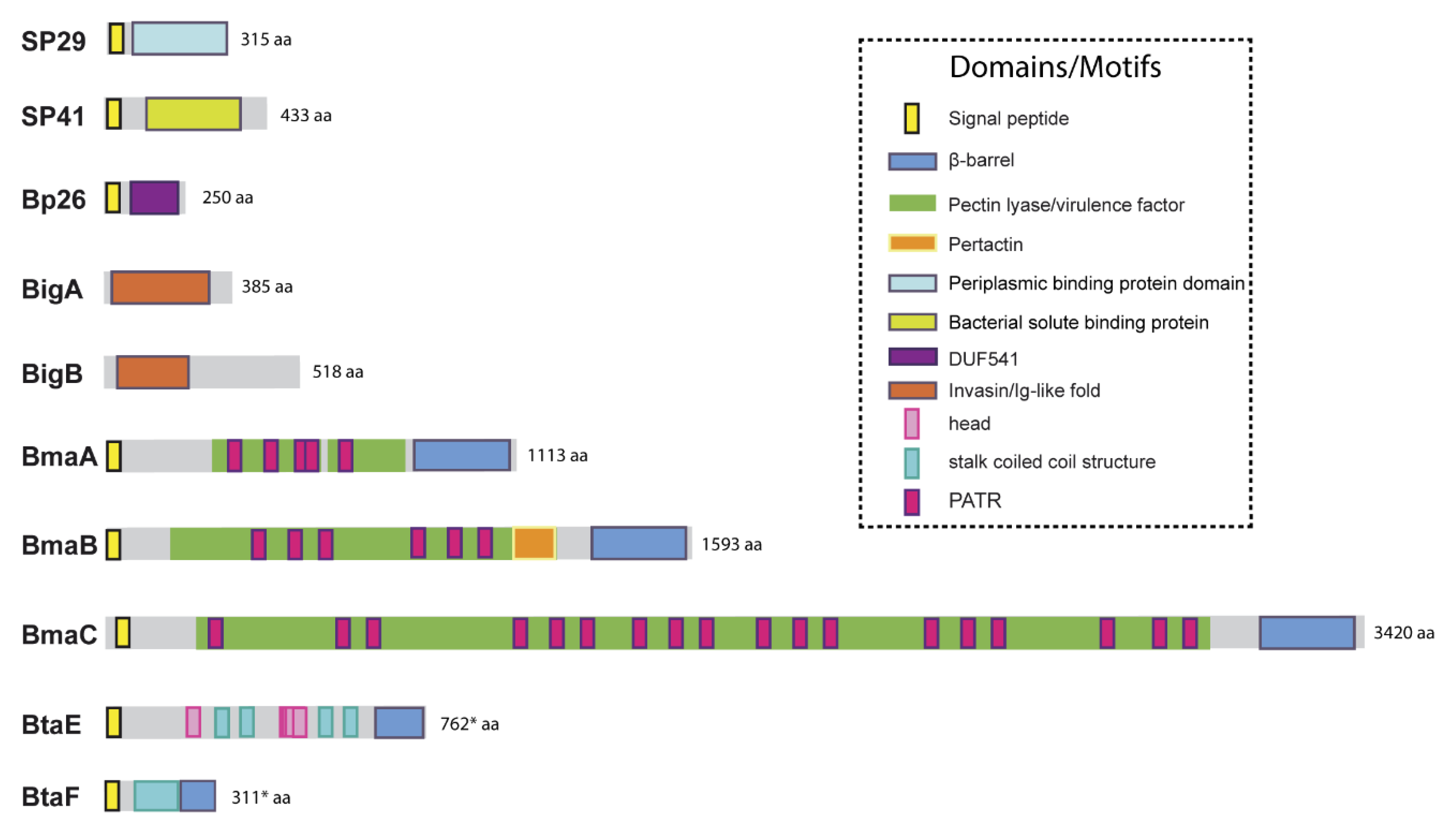 Pathogens 09 00942 g001
