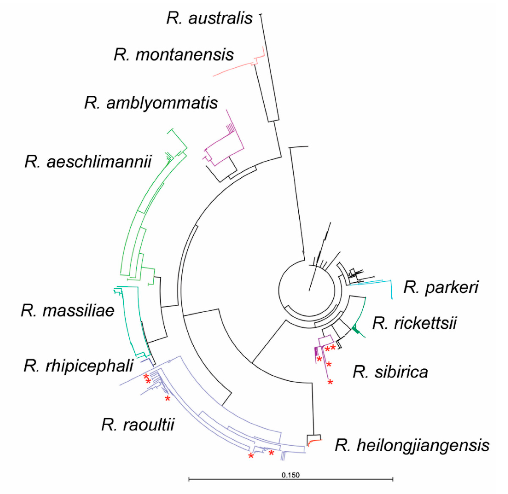 Pathogens 09 00943 g002